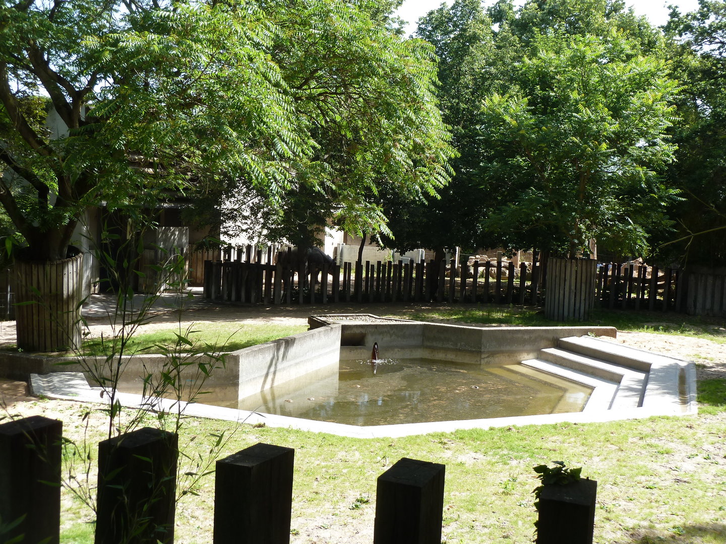 Indian rhino enclosure