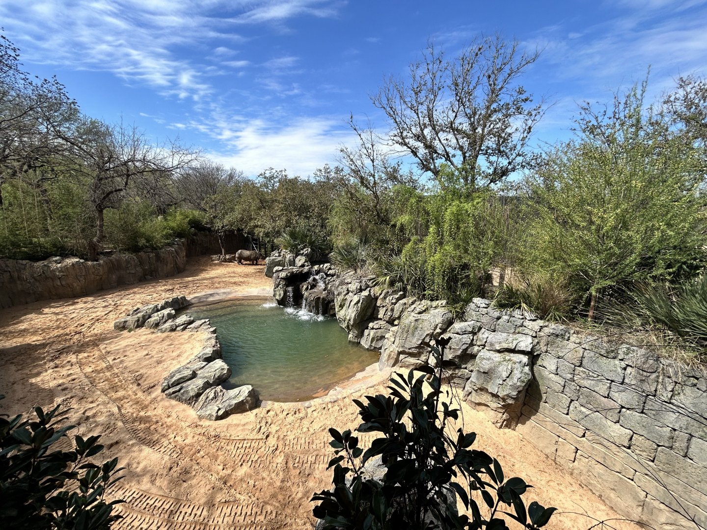 Indian Rhino Enclosure