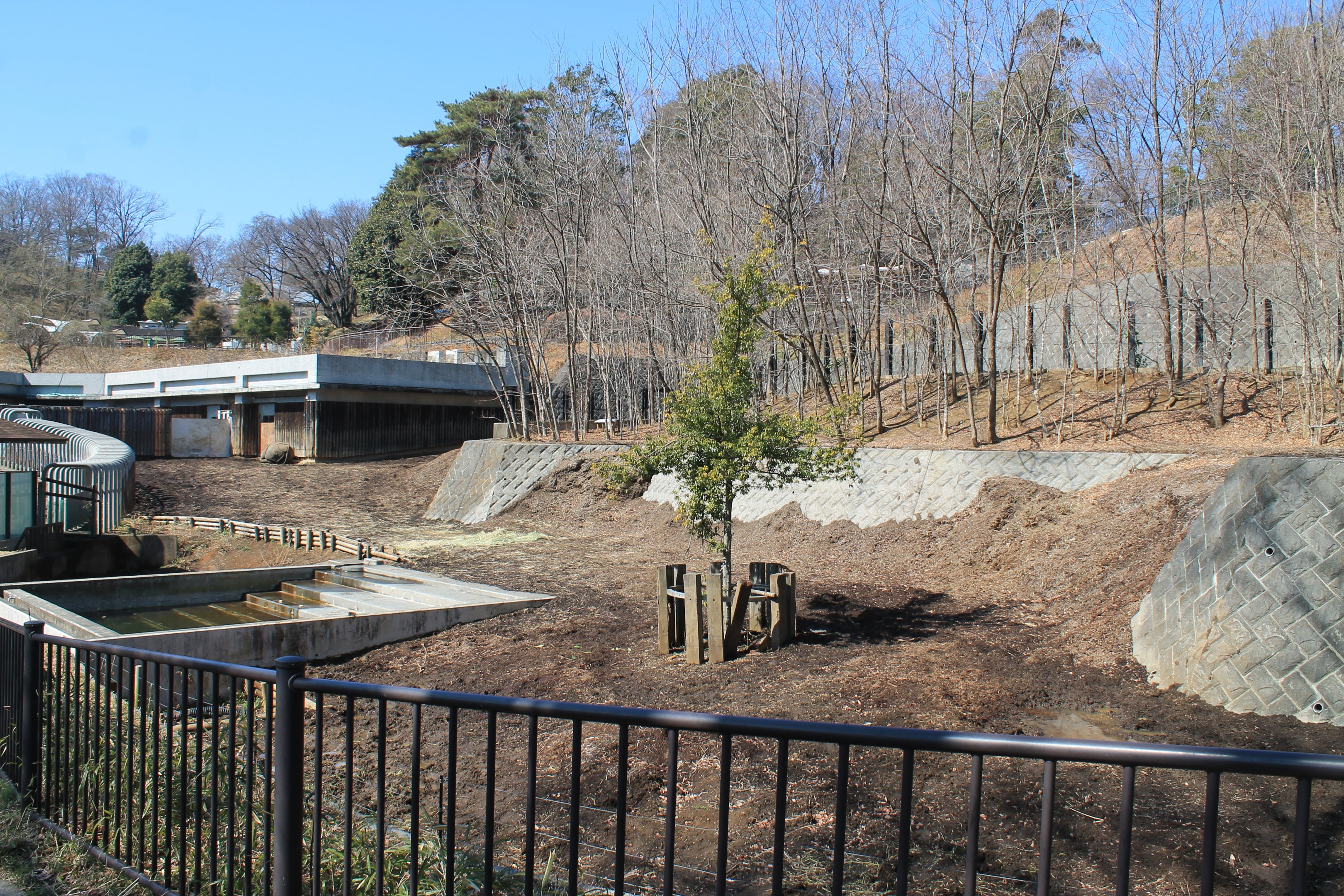 Indian Rhino enclosure