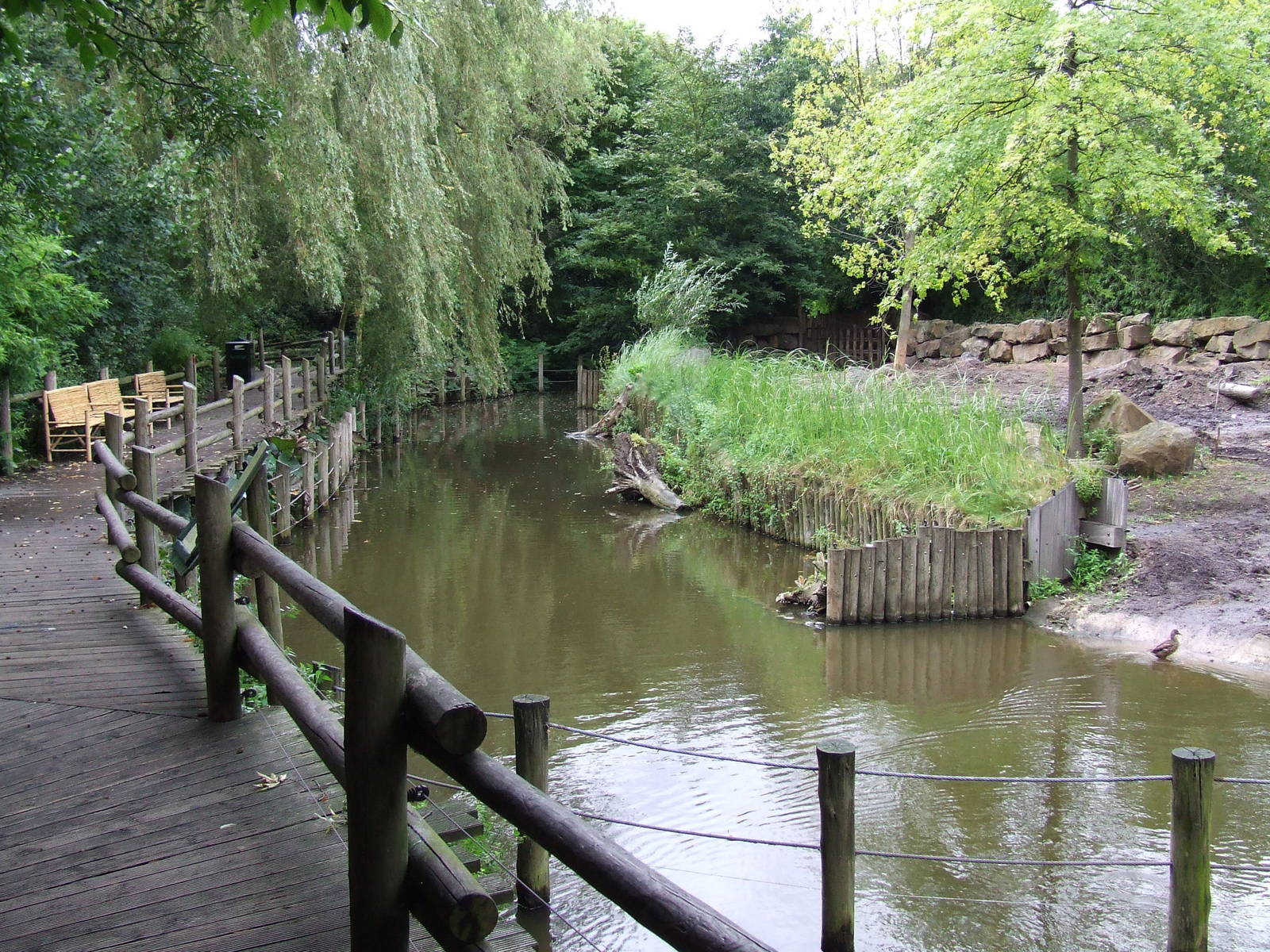 Indian Rhino enclosure
