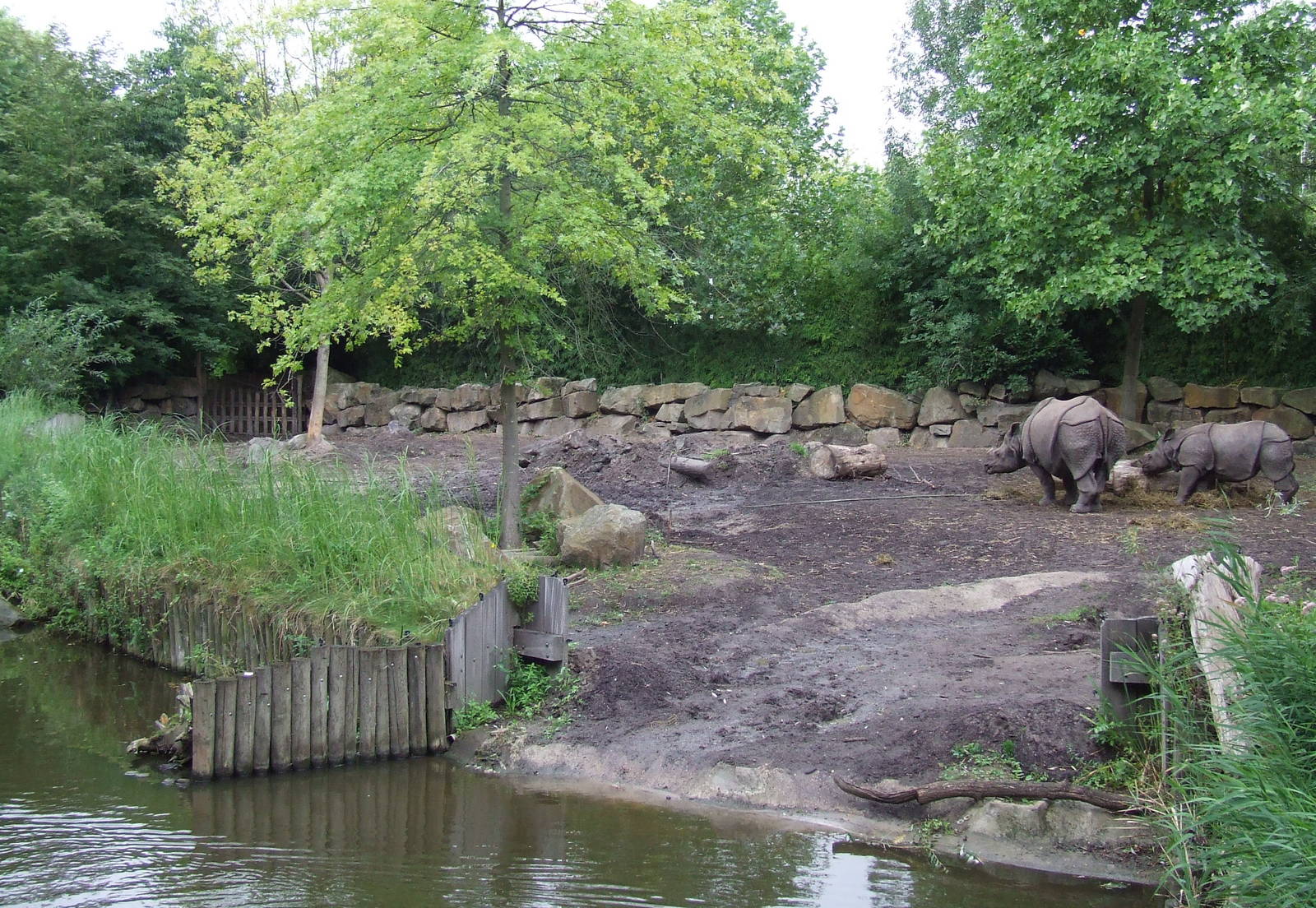 Indian Rhino enclosure