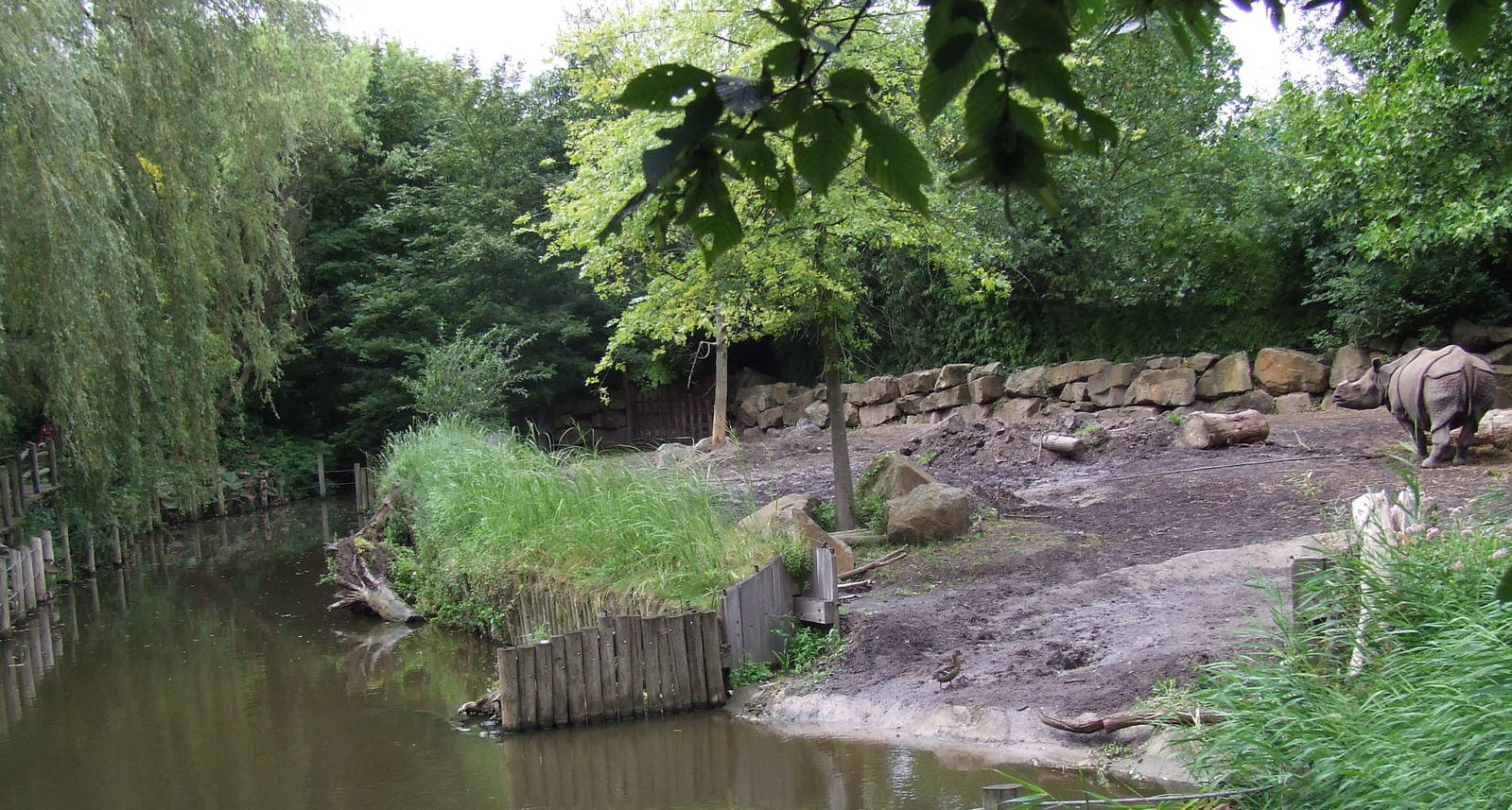 Indian Rhino enclosure