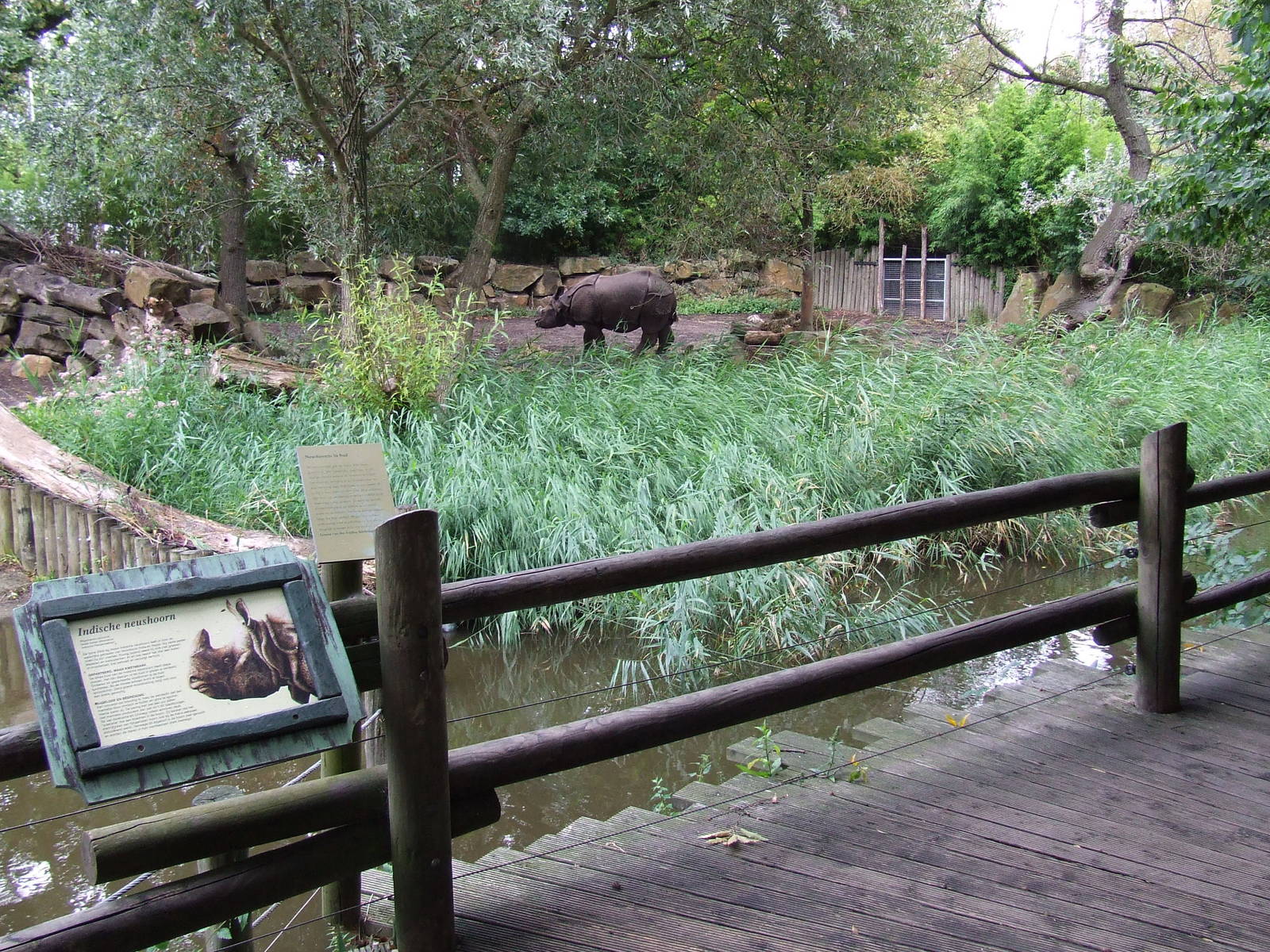 Indian Rhino enclosure