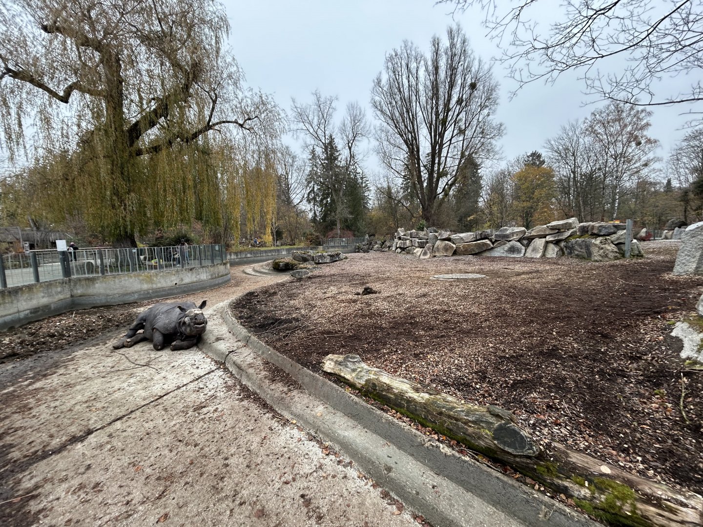 Indian Rhino Exhibit #1