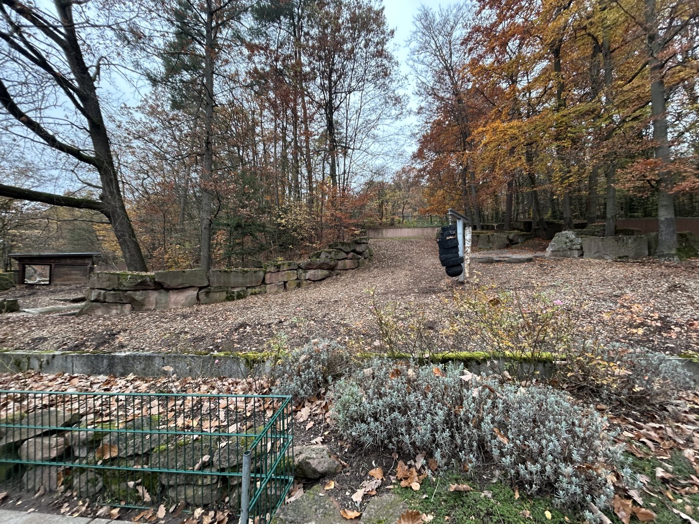 Indian Rhino Exhibit #1