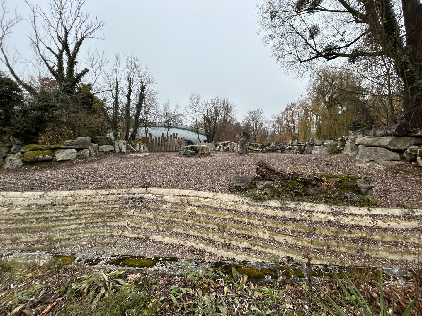 Indian Rhino Exhibit #2