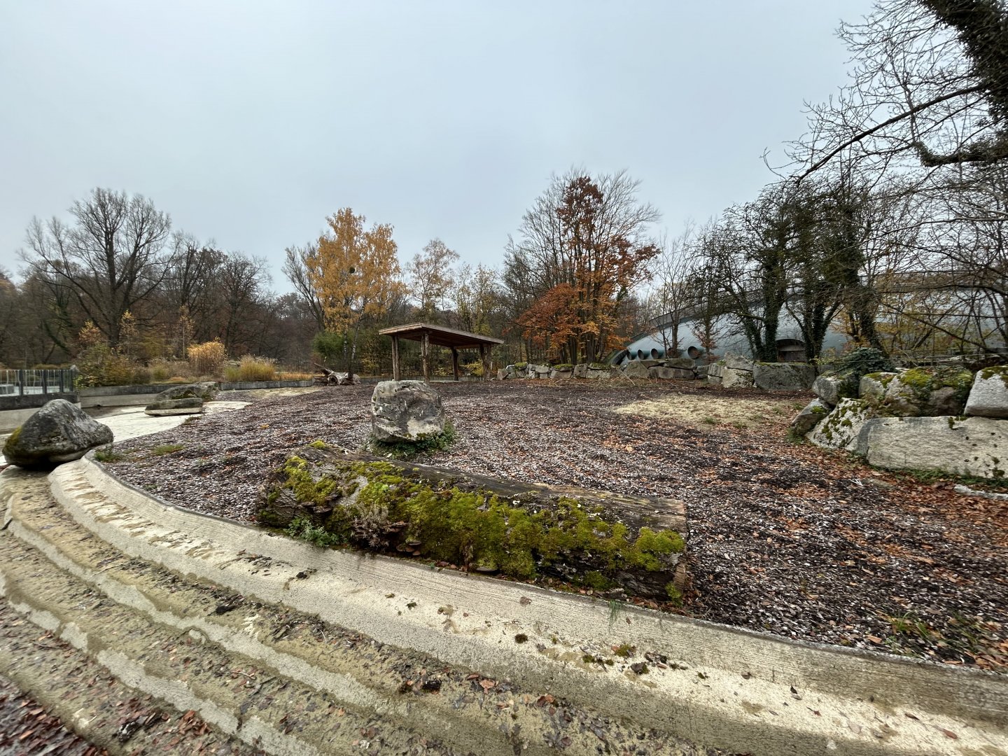 Indian Rhino Exhibit #3