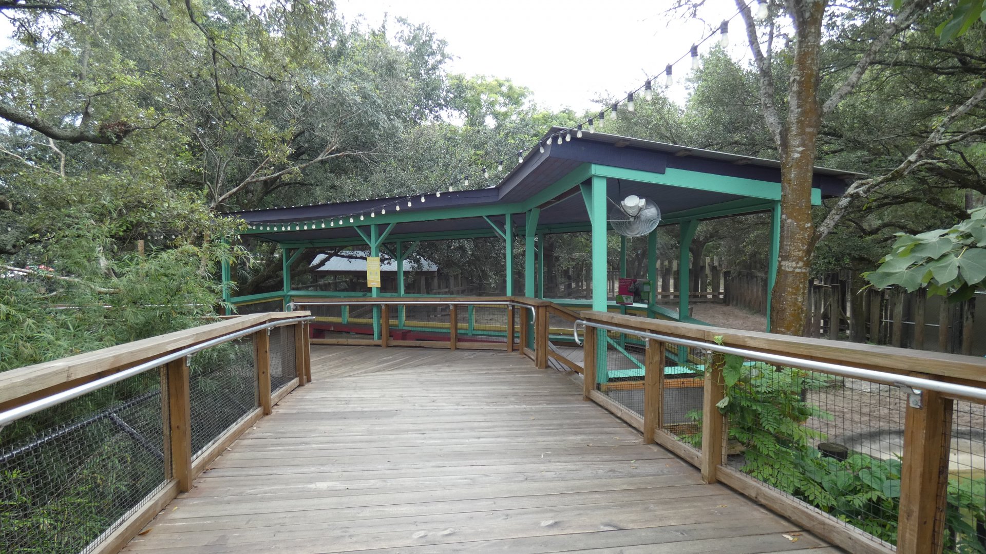 Indian Rhino Exhibit, Asian Gardens - Aug. 2021