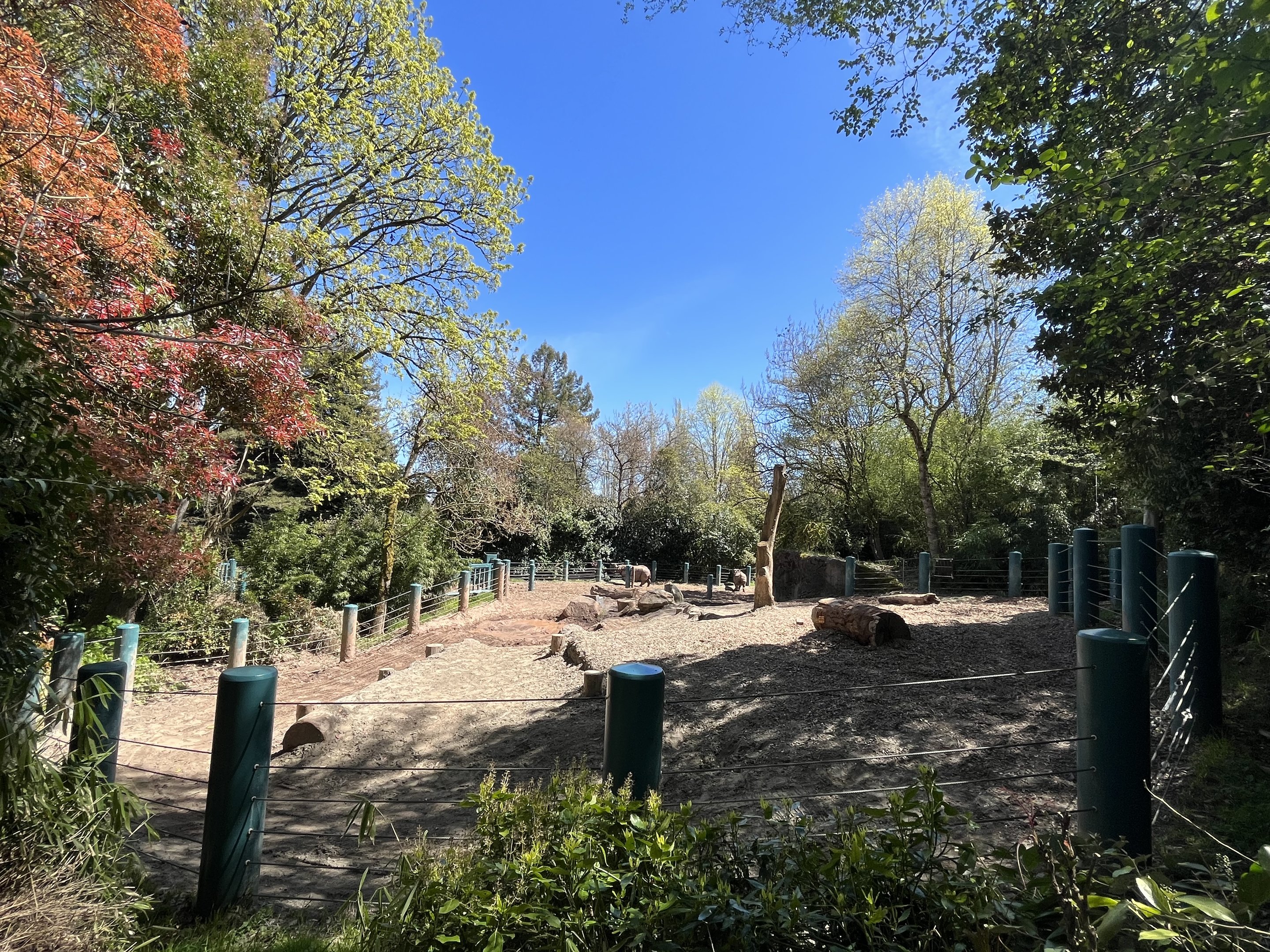 Indian Rhino Exhibit (small portion)