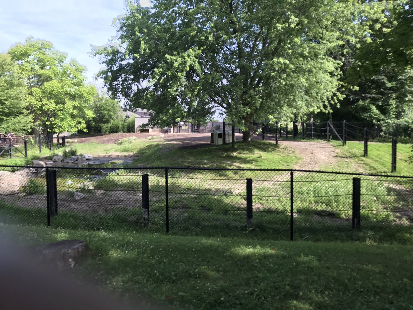 Indian Rhino exhibit viewing from the Zoomobile