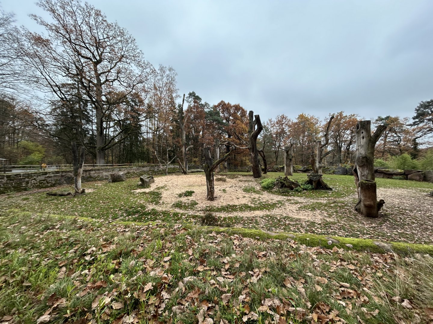 Indian Rhino Exhibit & Visayan Warty Pig Exhibit
