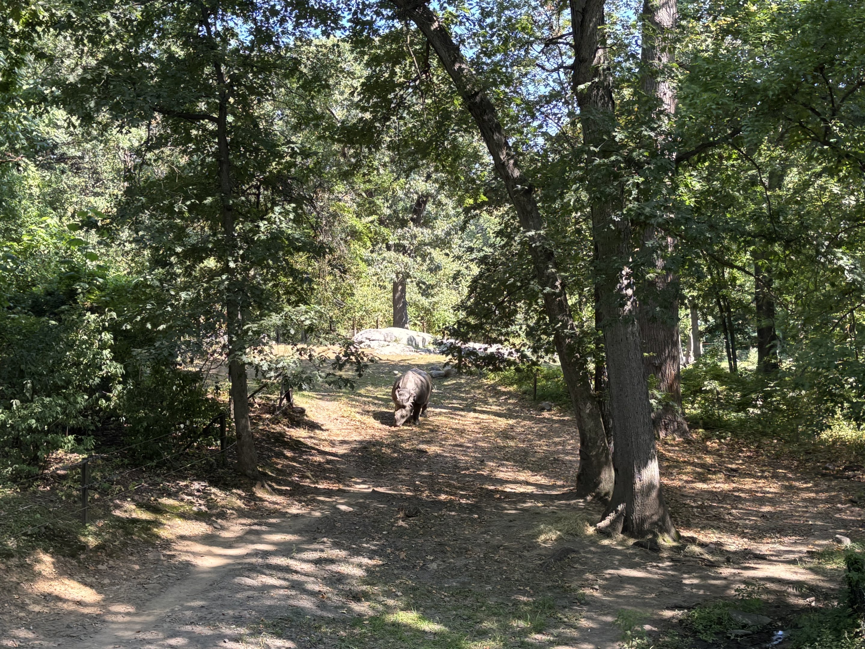 Indian Rhino Exhibit - Wild Asia