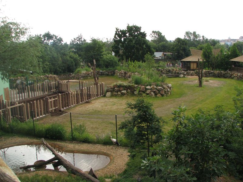 Indian rhino exhibit