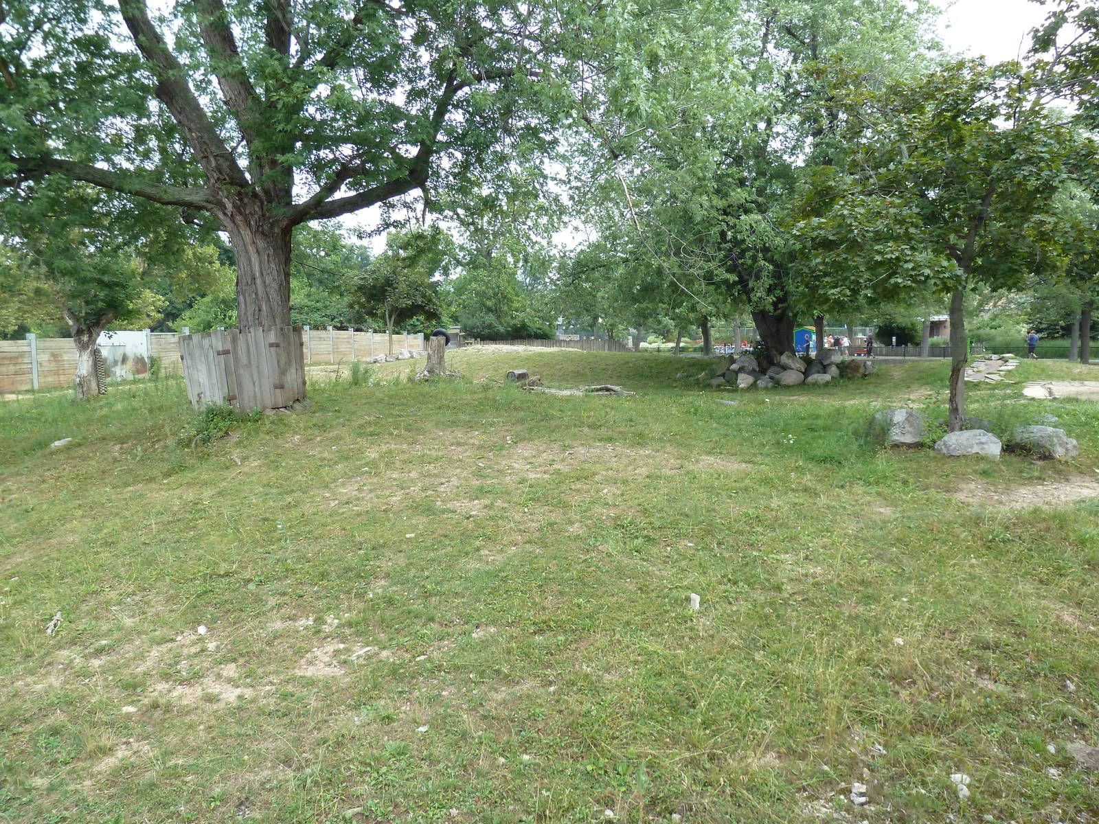 Indian Rhino Exhibit