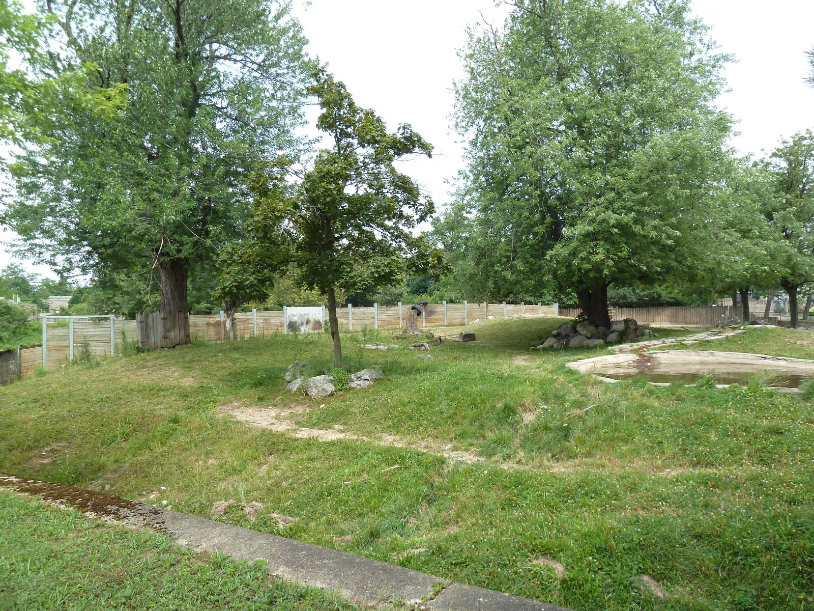 Indian Rhino Exhibit