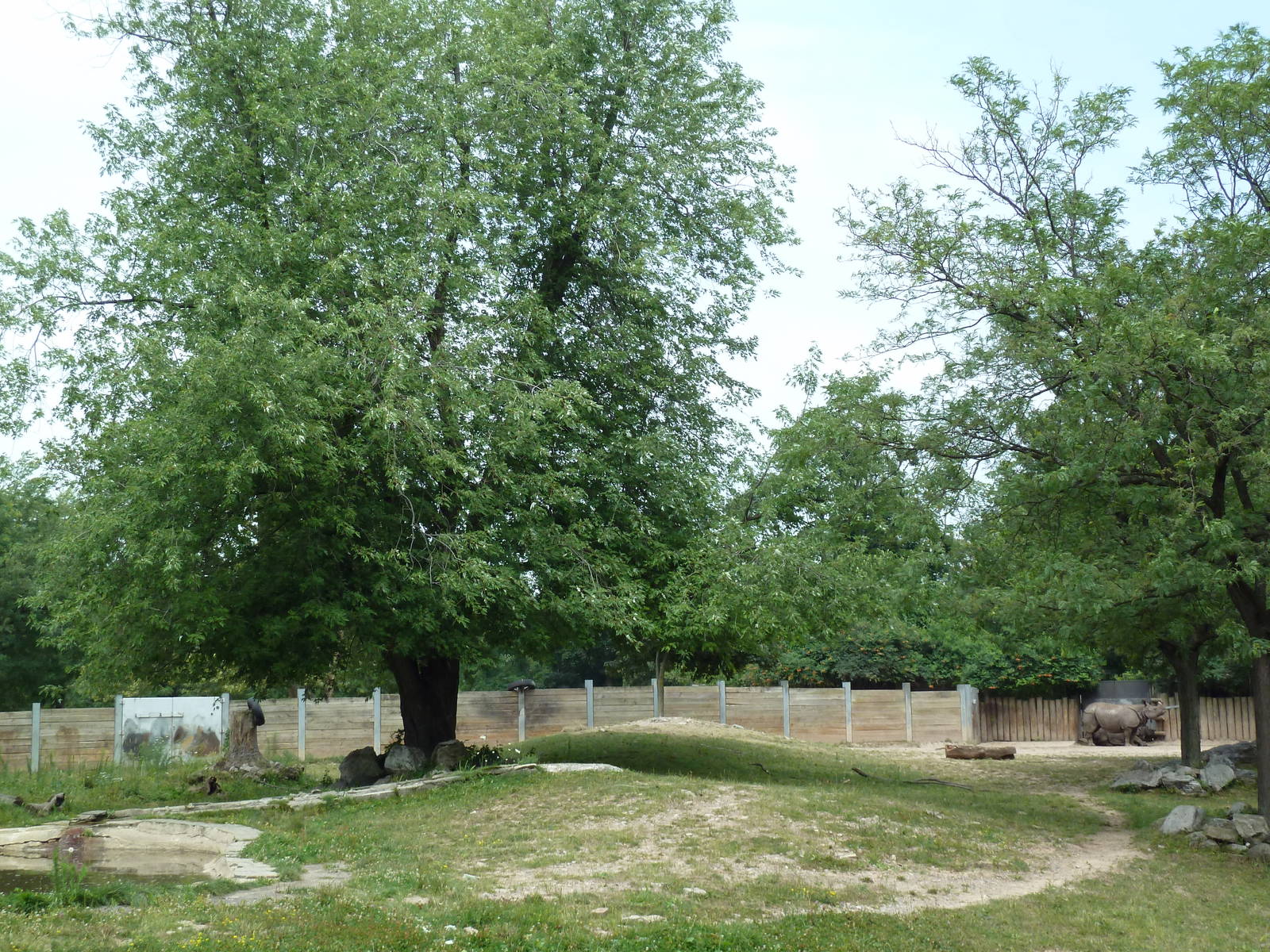 Indian Rhino Exhibit