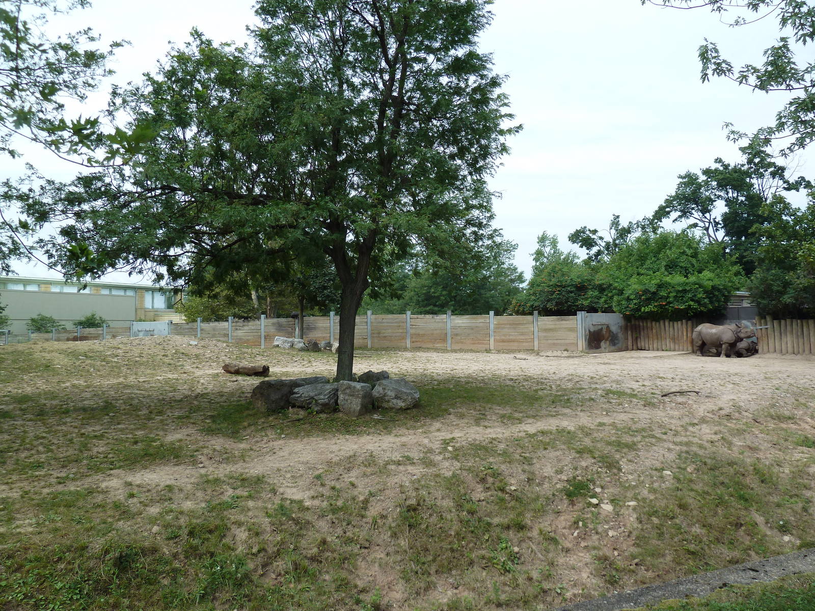 Indian Rhino Exhibit