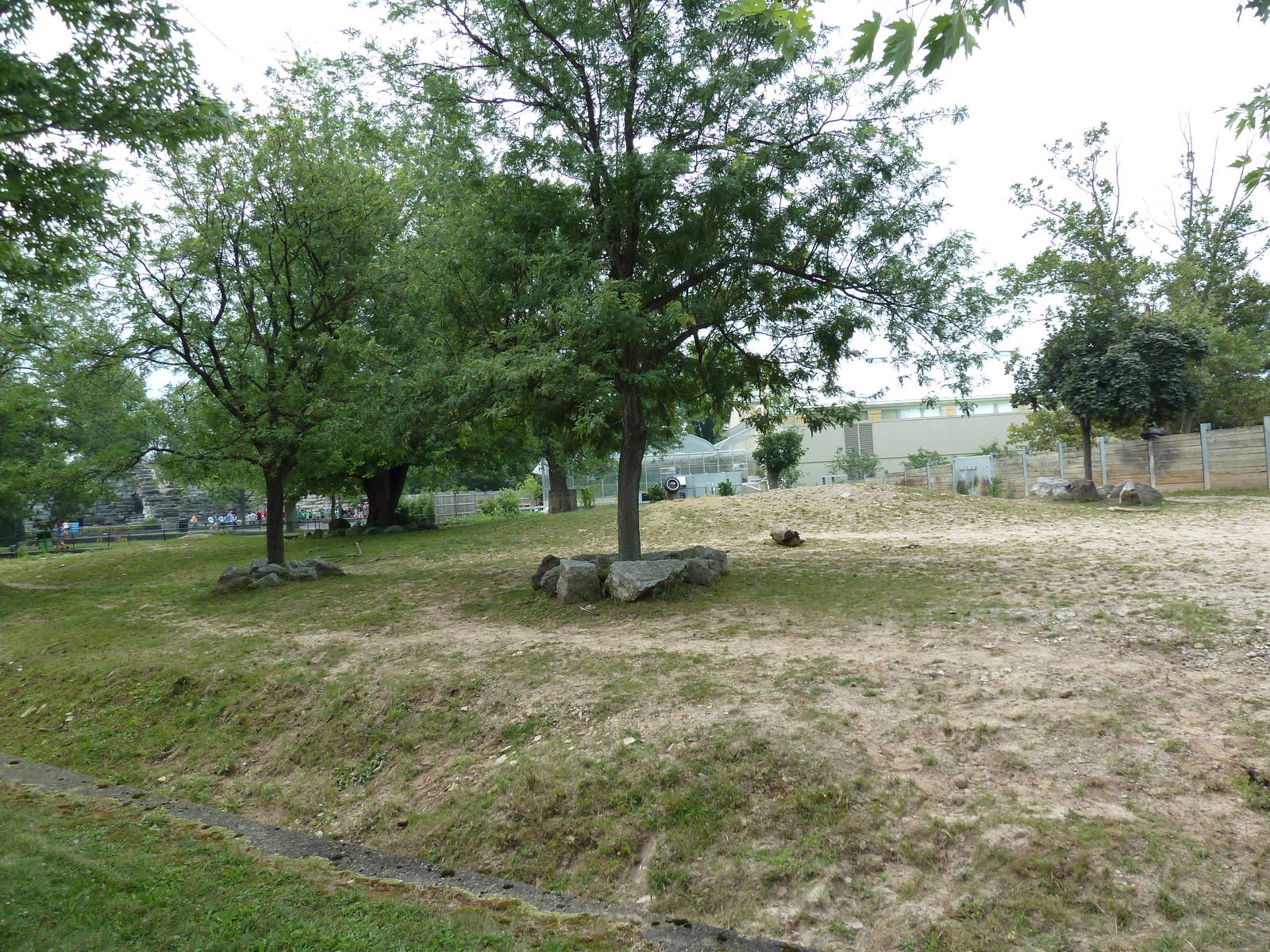 Indian Rhino Exhibit