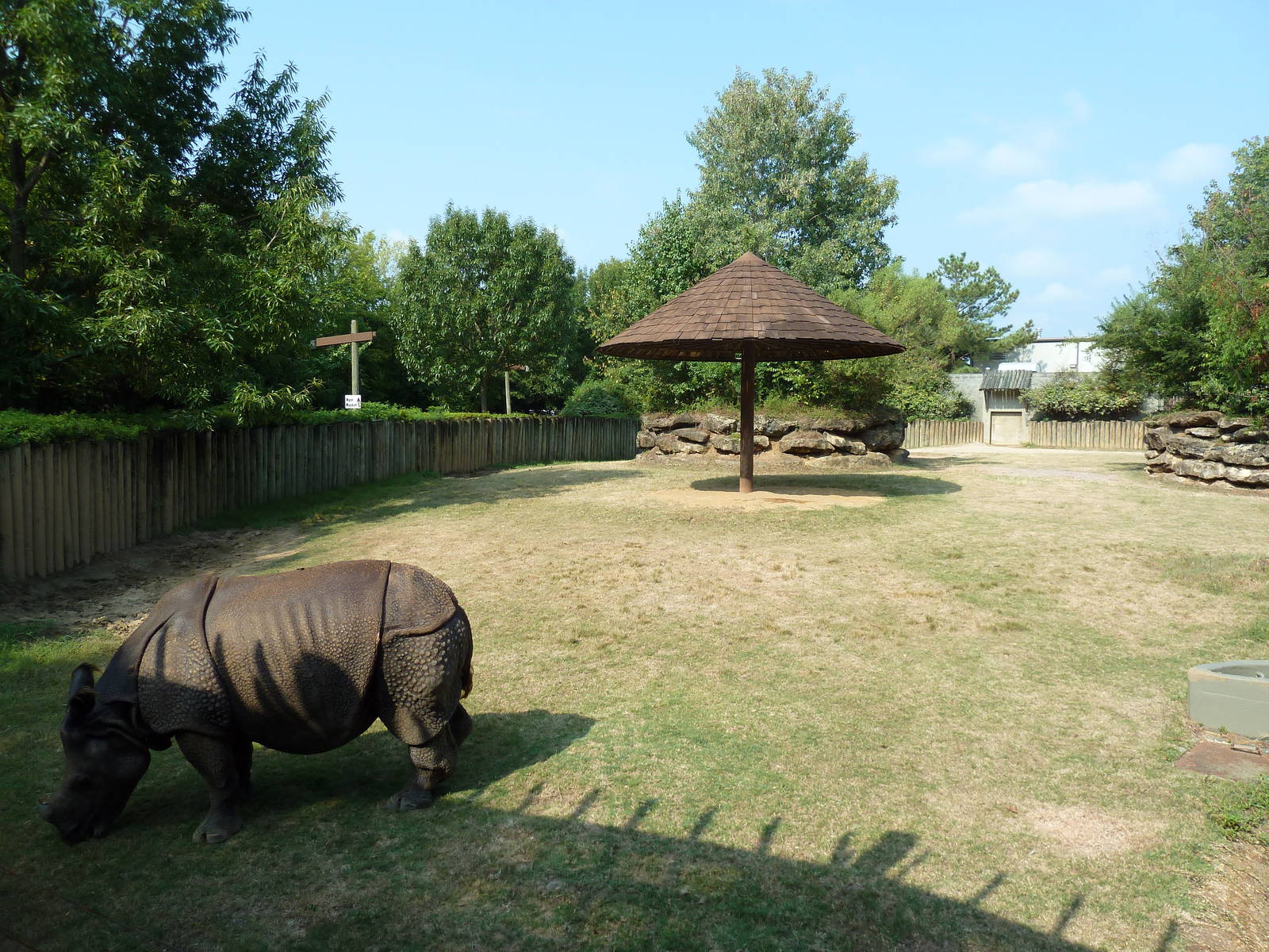 Indian Rhino Exhibit
