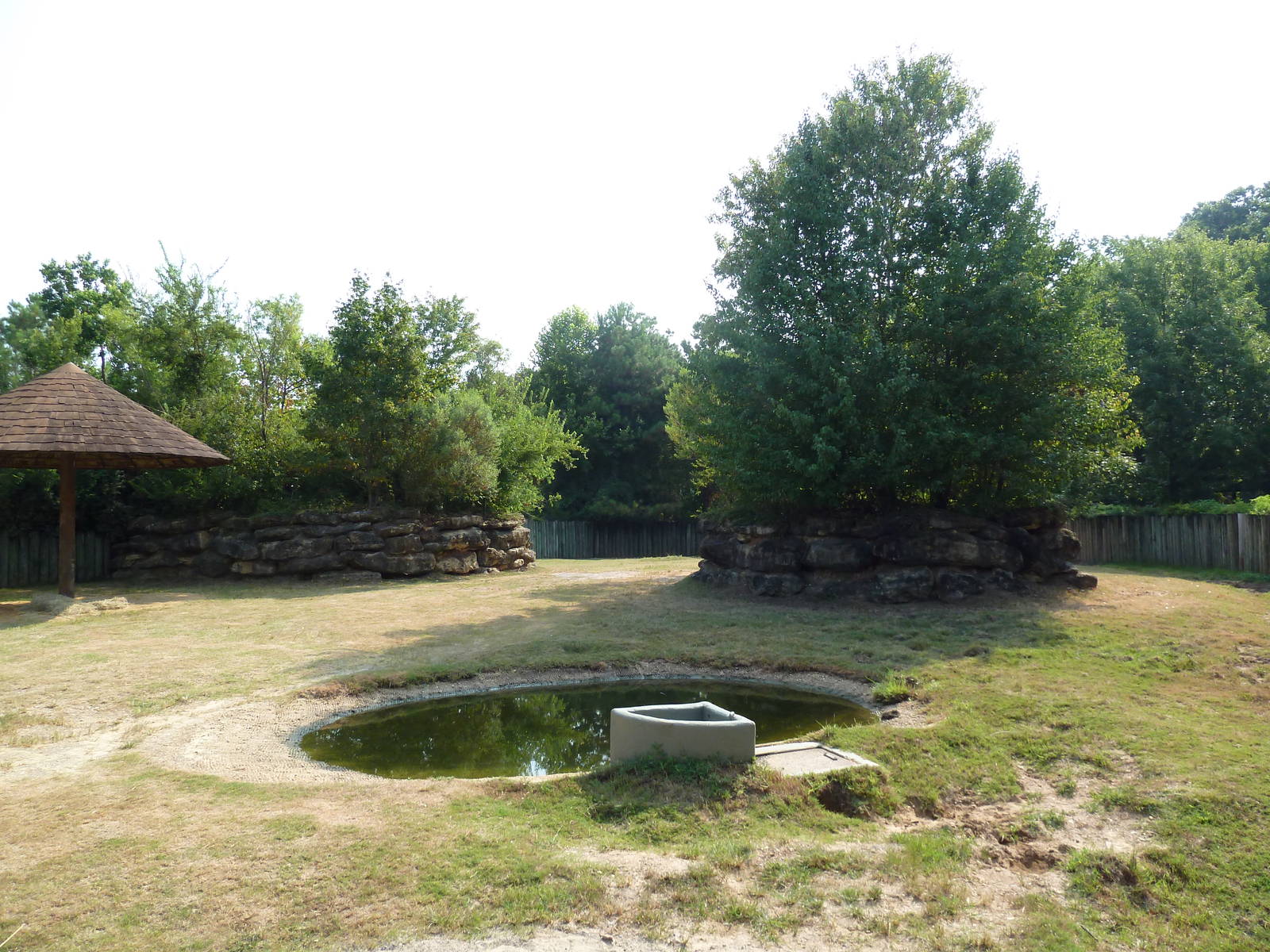 Indian Rhino Exhibit