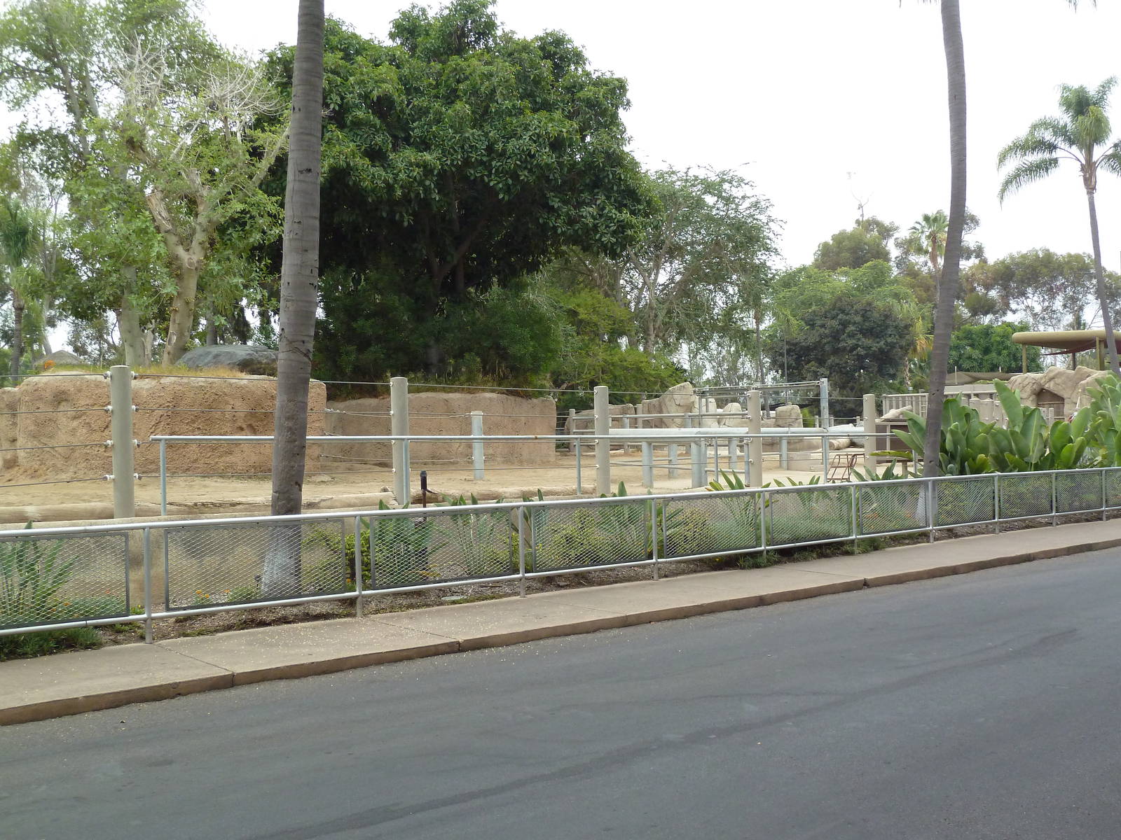 Indian Rhino Exhibit