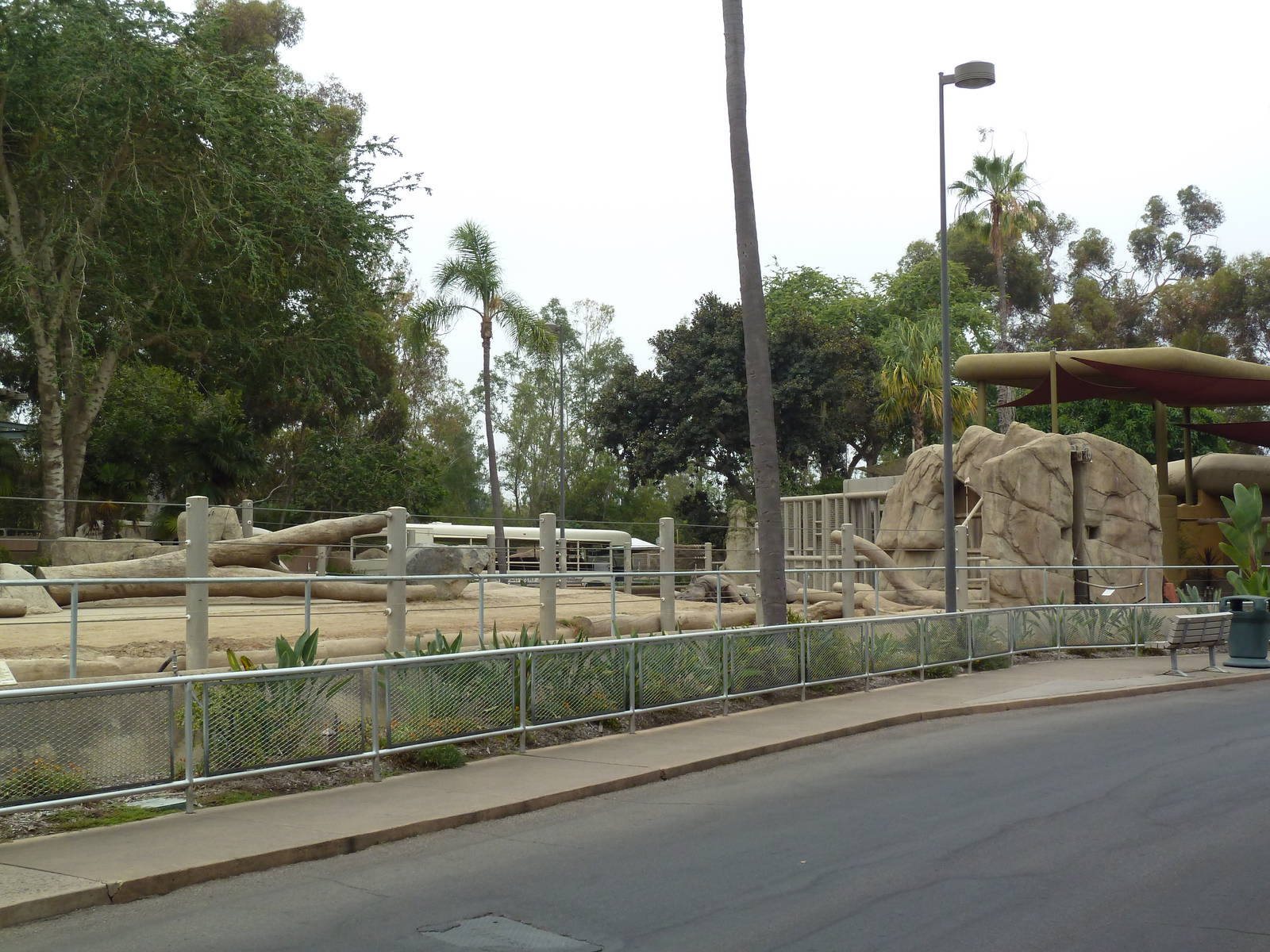 Indian Rhino Exhibit