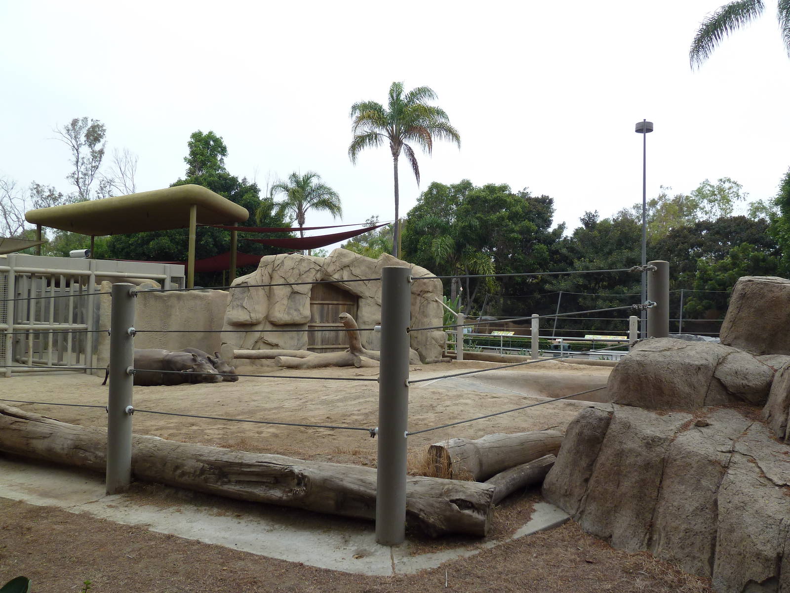 Indian Rhino Exhibit
