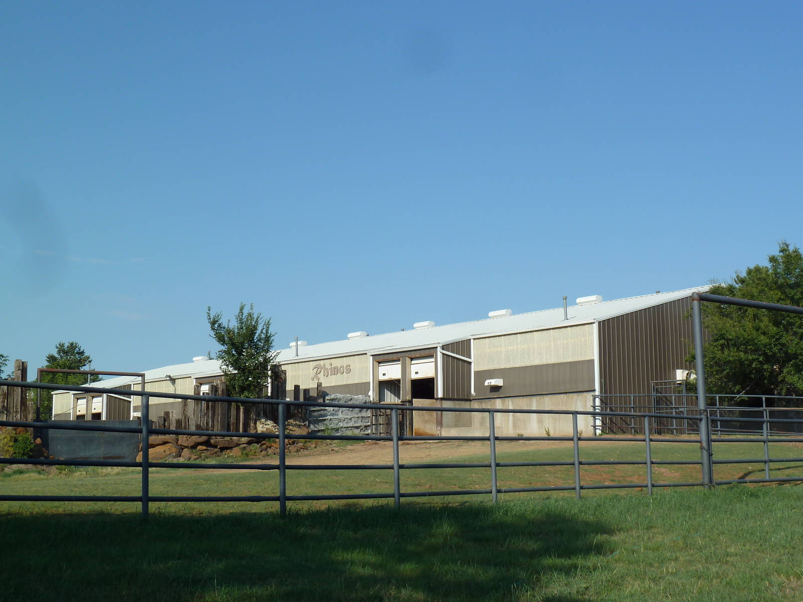Indian Rhino Exhibit