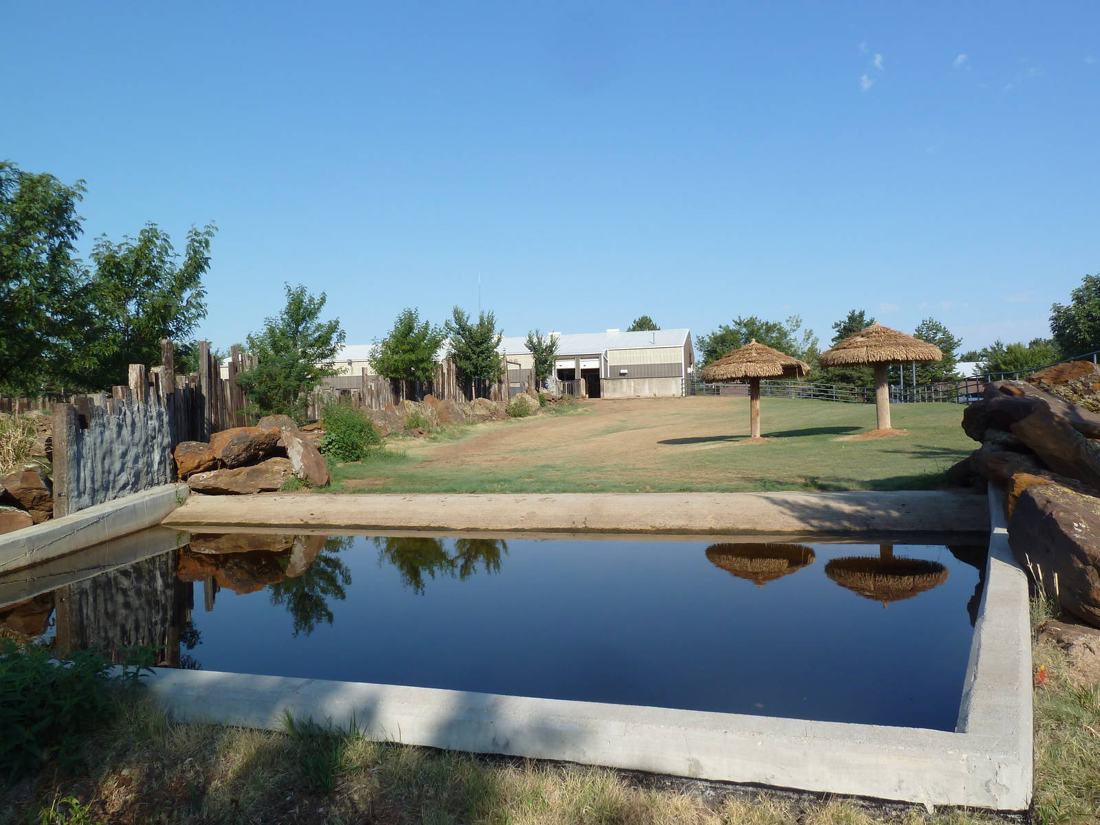 Indian Rhino Exhibit