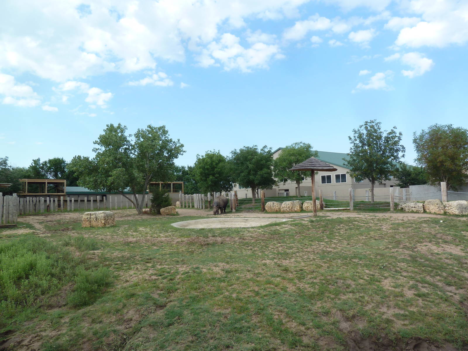 Indian Rhino Exhibit