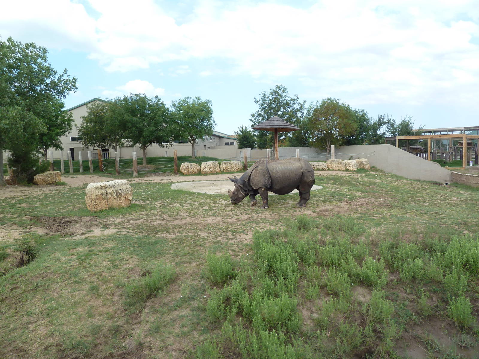 Indian Rhino Exhibit