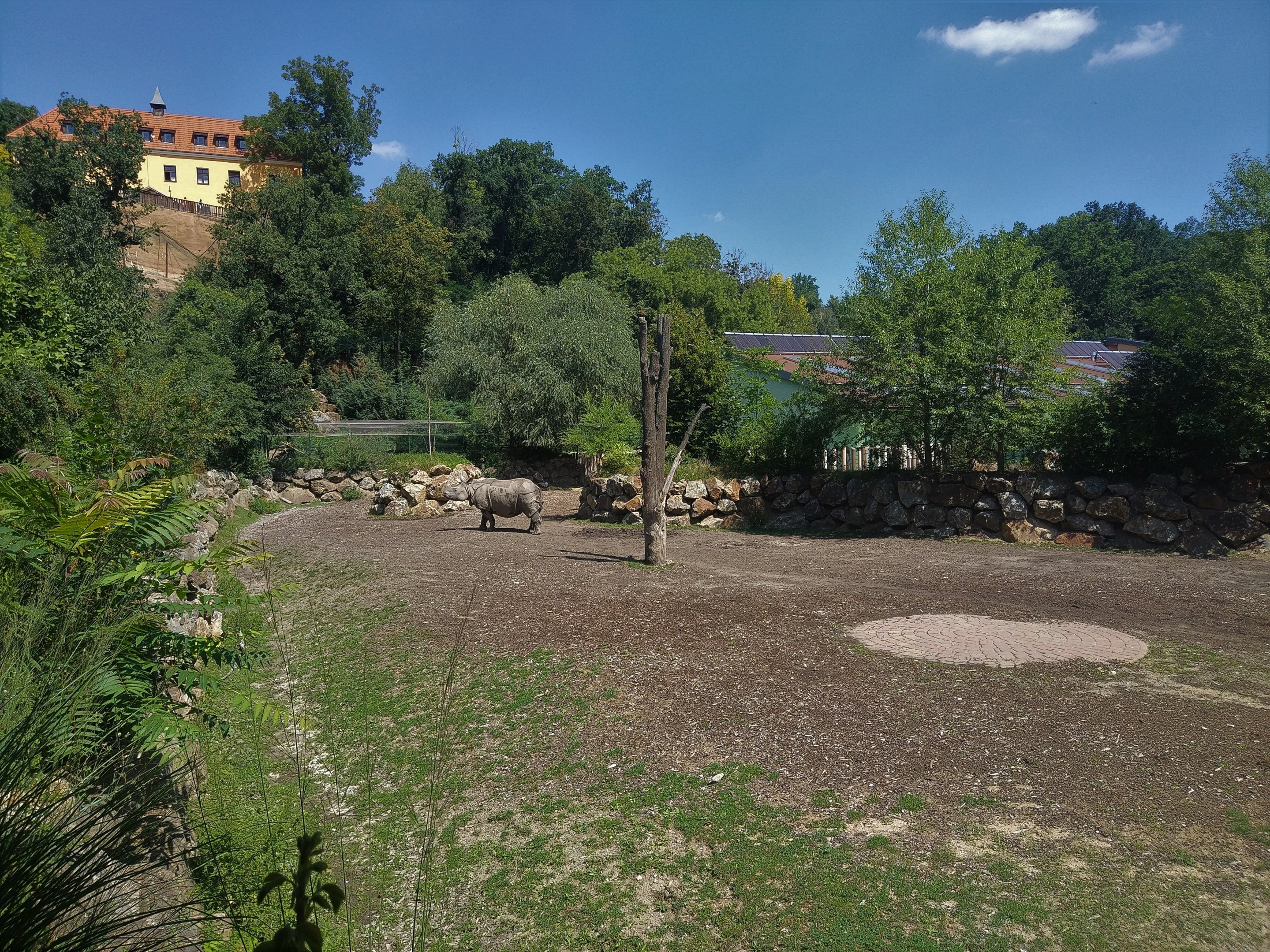 Indian Rhino Exhibit