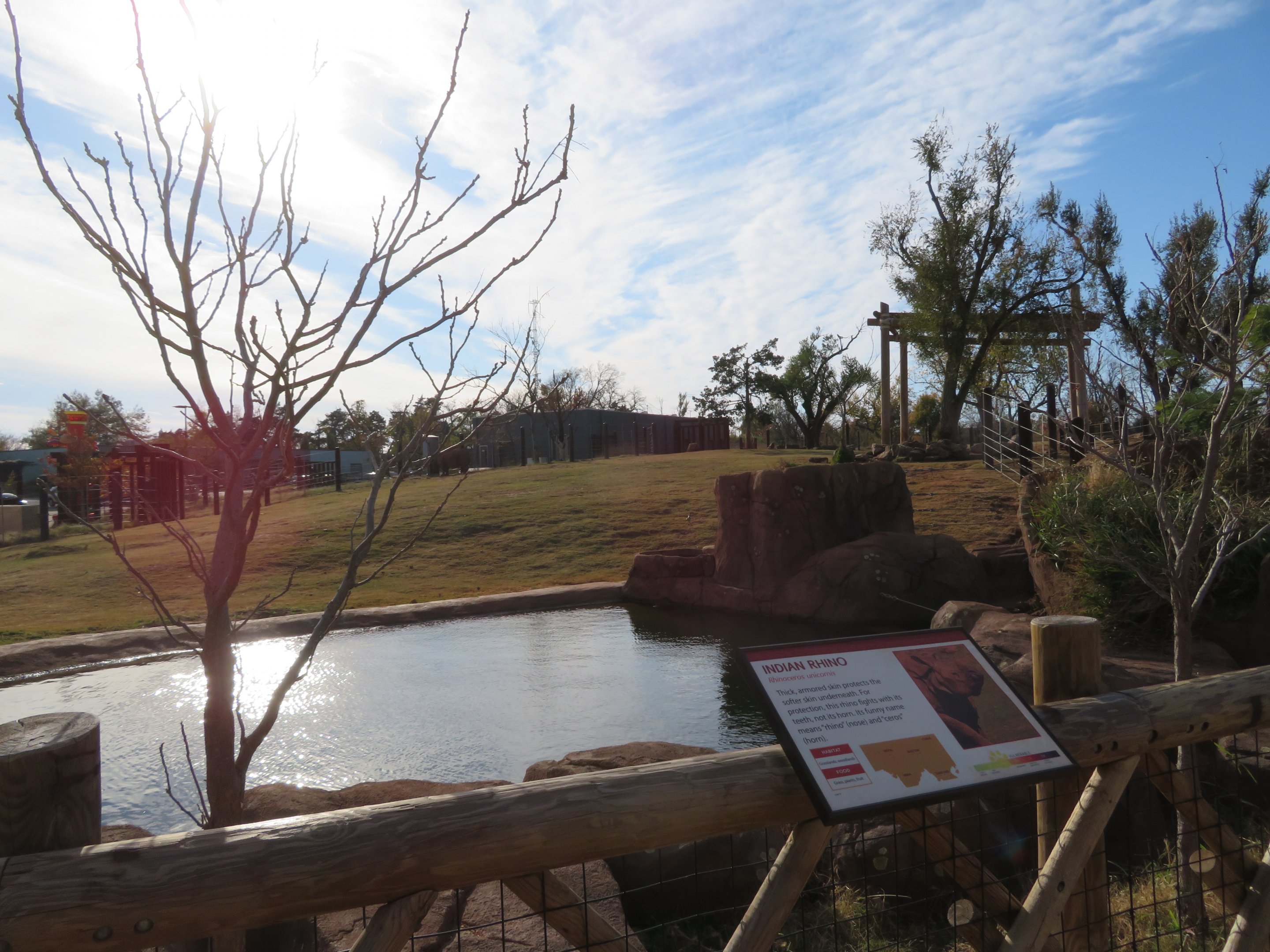 Indian Rhino Exhibit