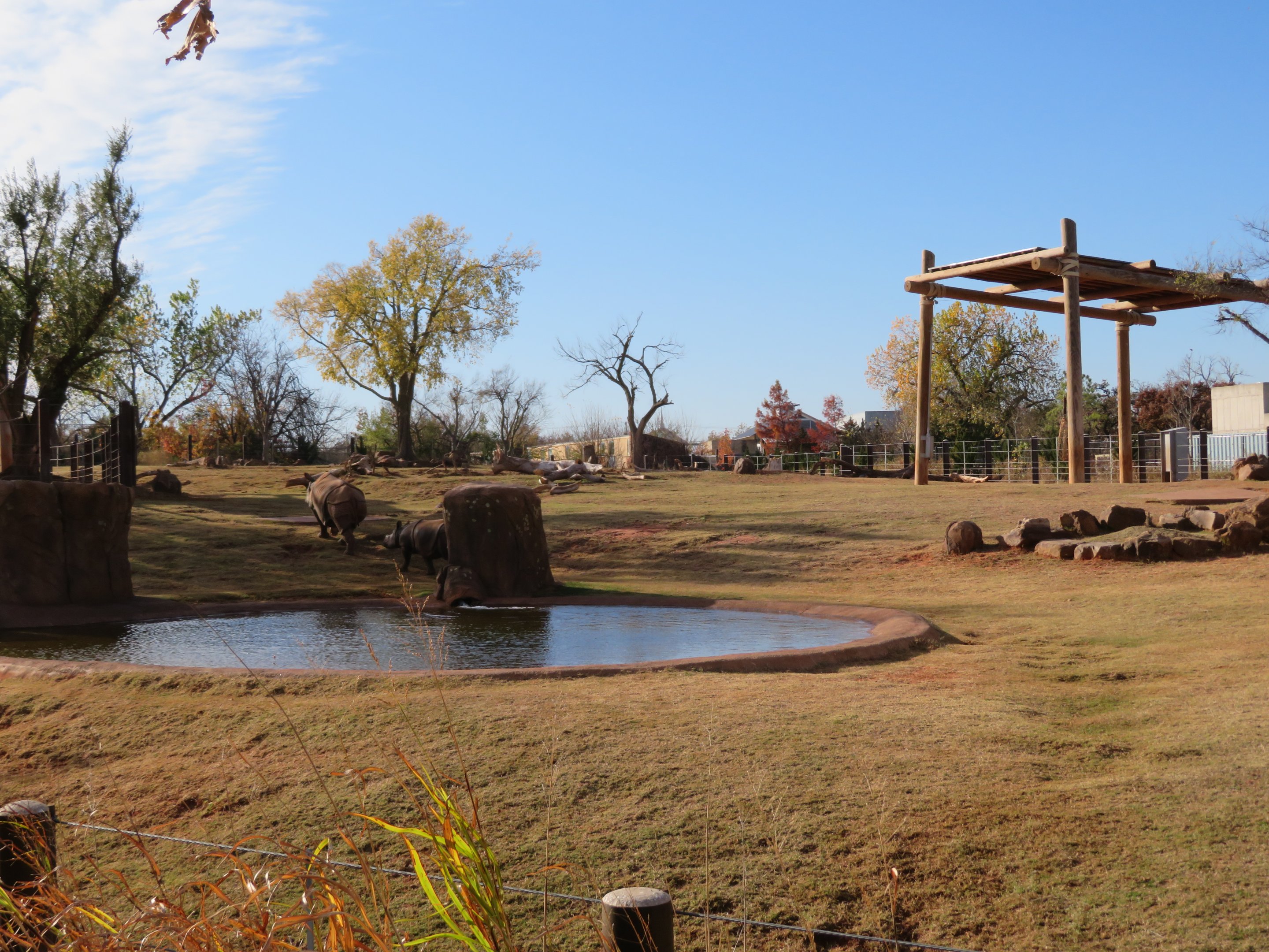 Indian Rhino Exhibit