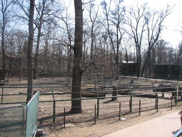 Indian rhino exhibit