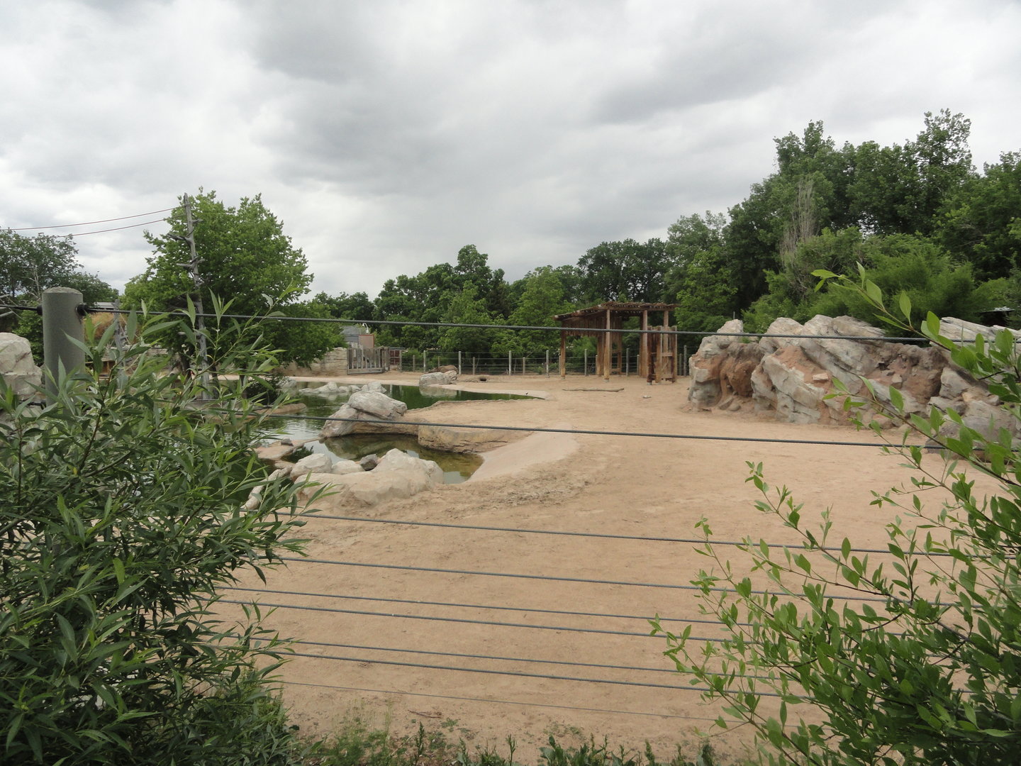 Indian Rhino Exhibit