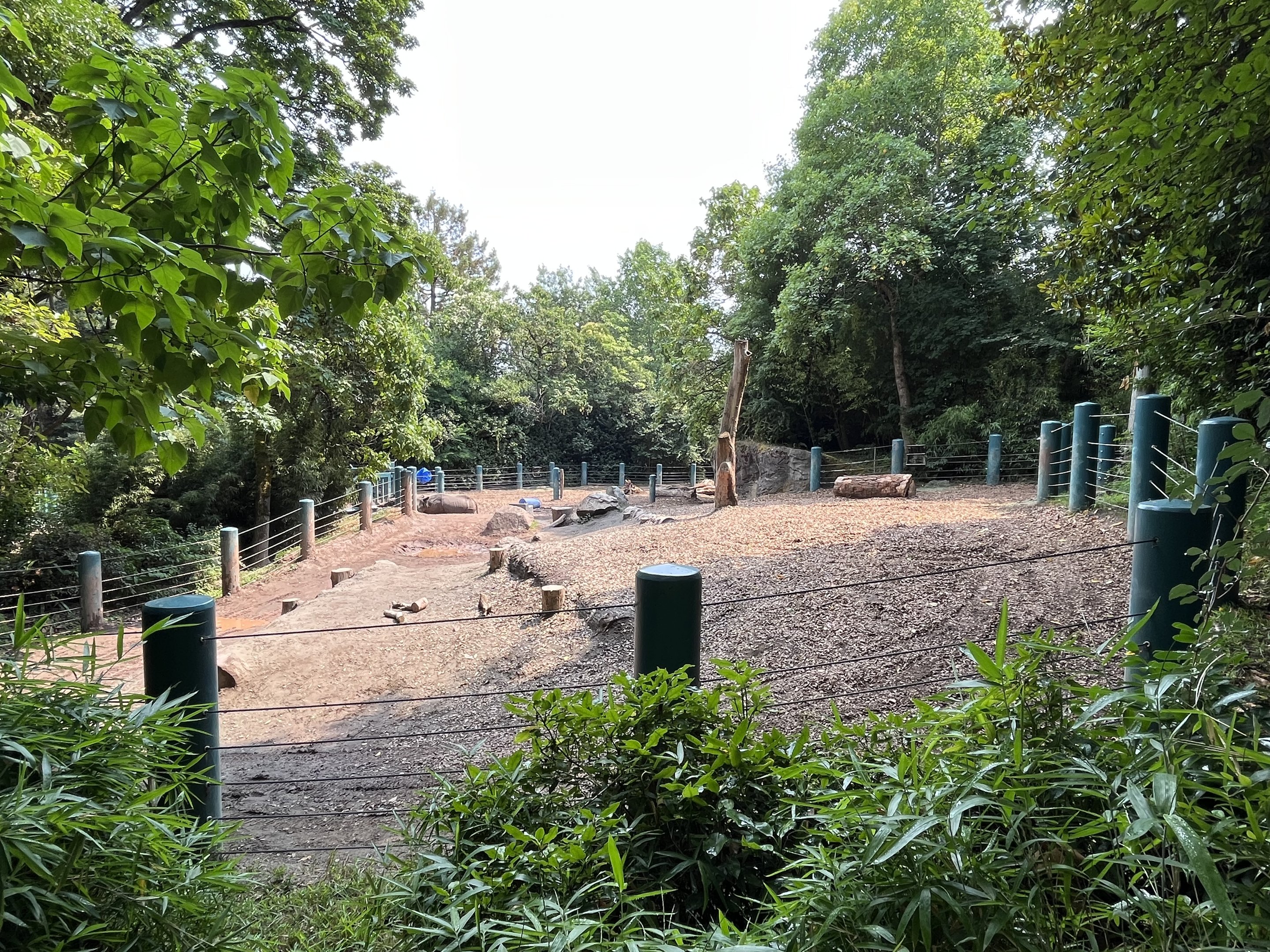 Indian Rhino Exhibit