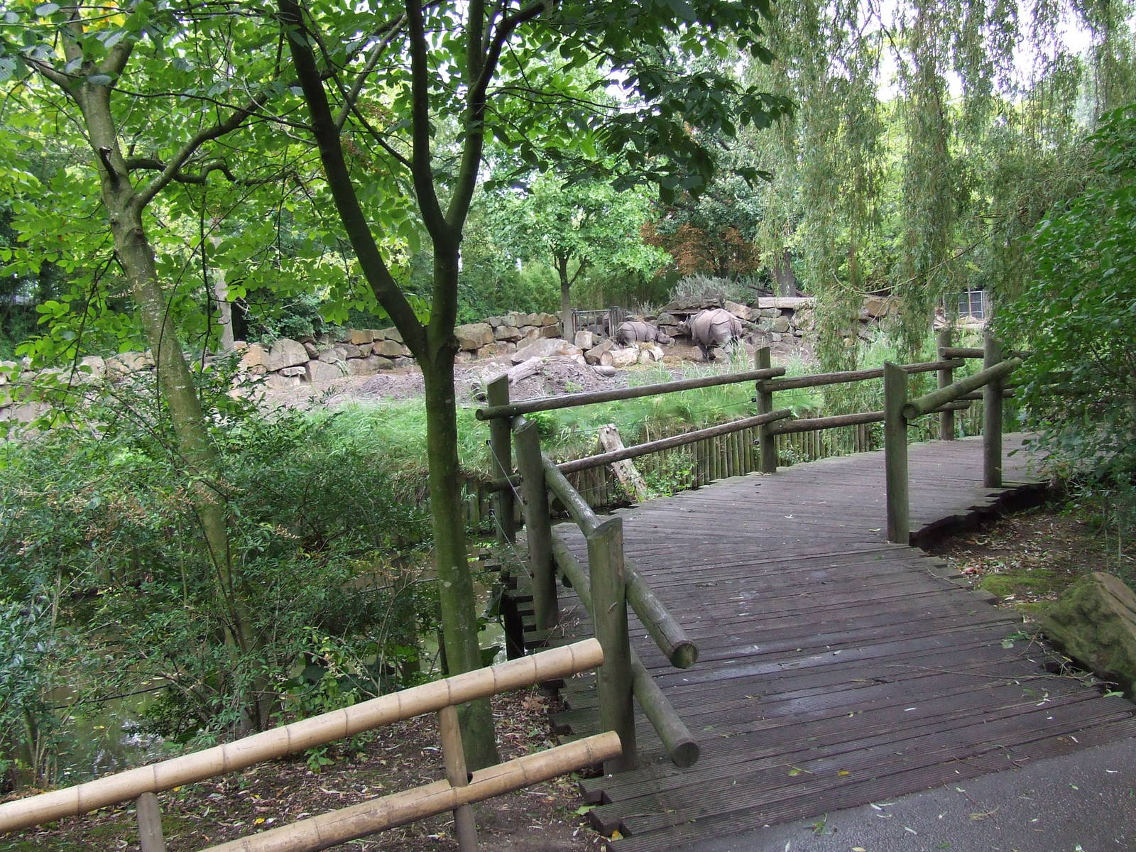 Indian Rhino exhibit