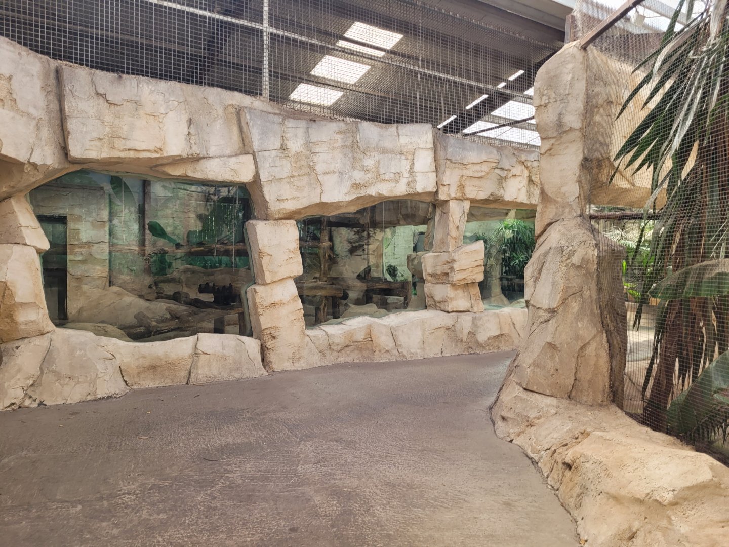 Indian rhino greenhouse -Zoo du bassin d'Arcachon (2024)