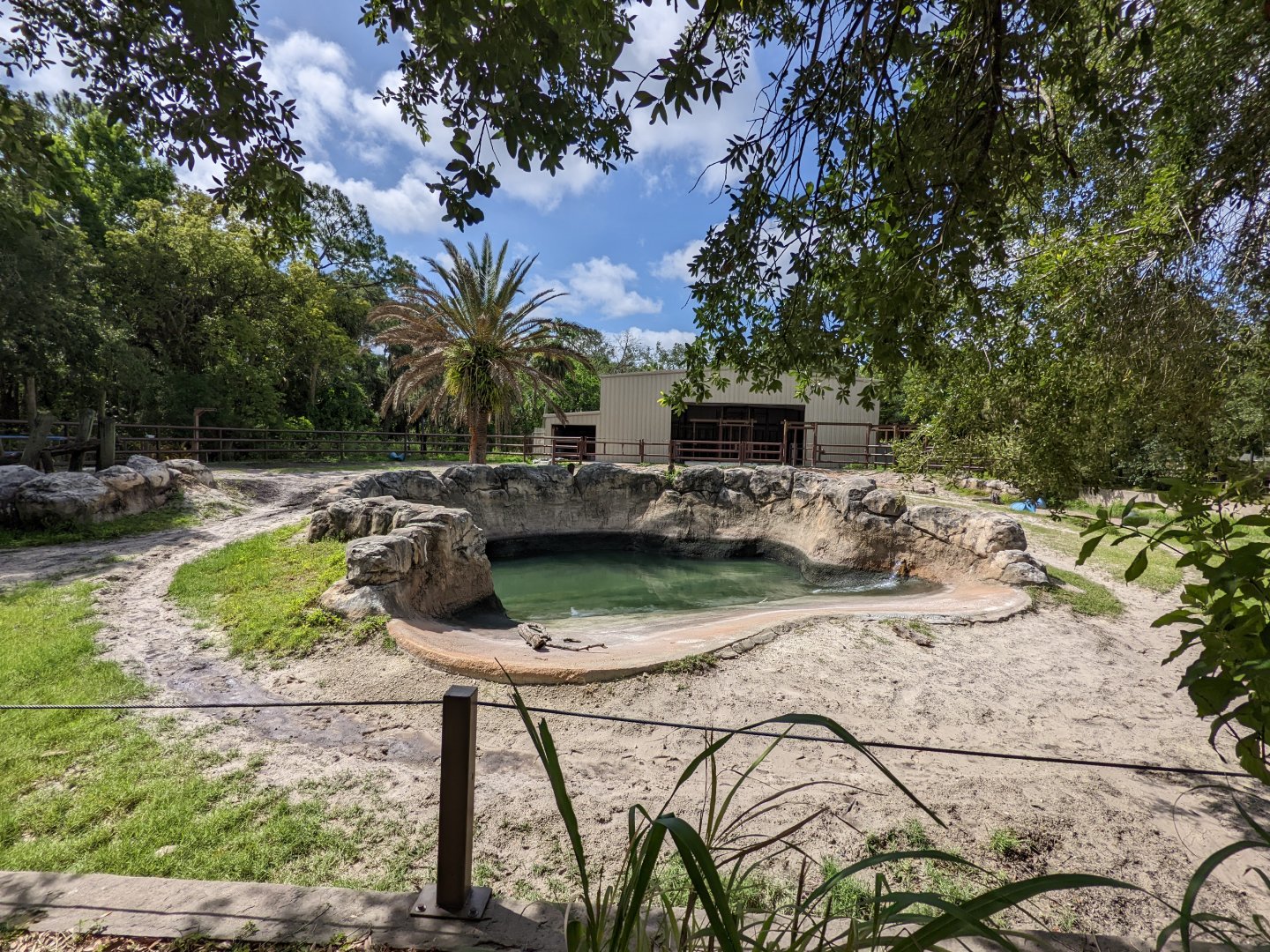 Indian rhino habitat