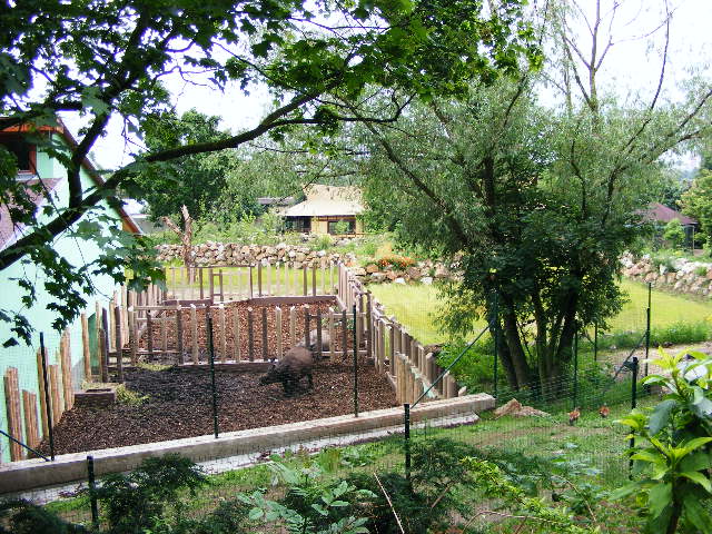 Indian Rhino Holdings