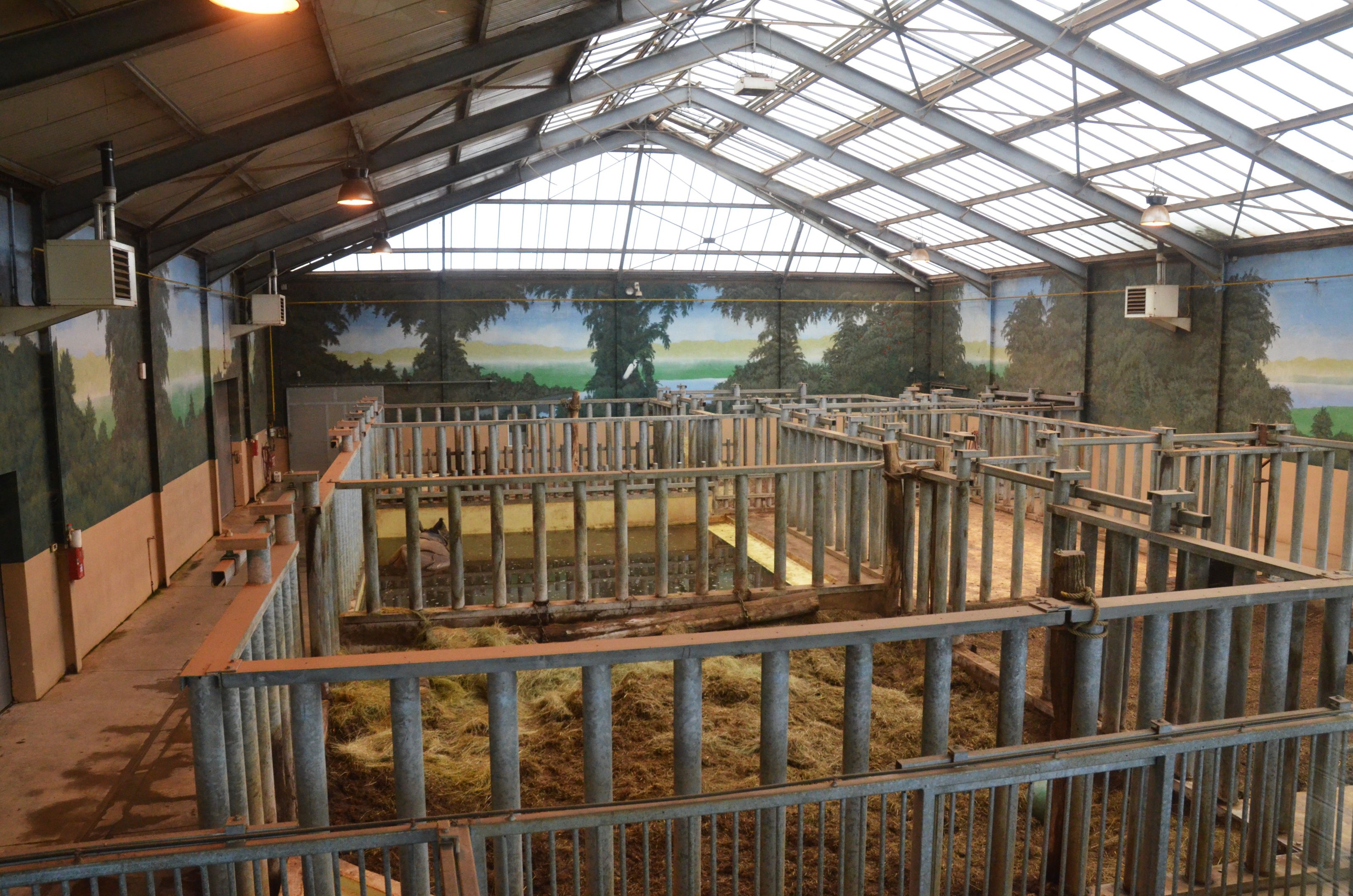 Indian Rhino House at Beauval, 12/06/18