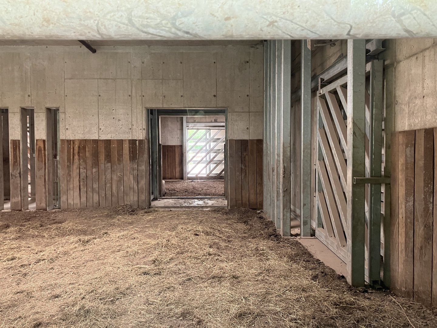 Indian rhino indoors-part 1