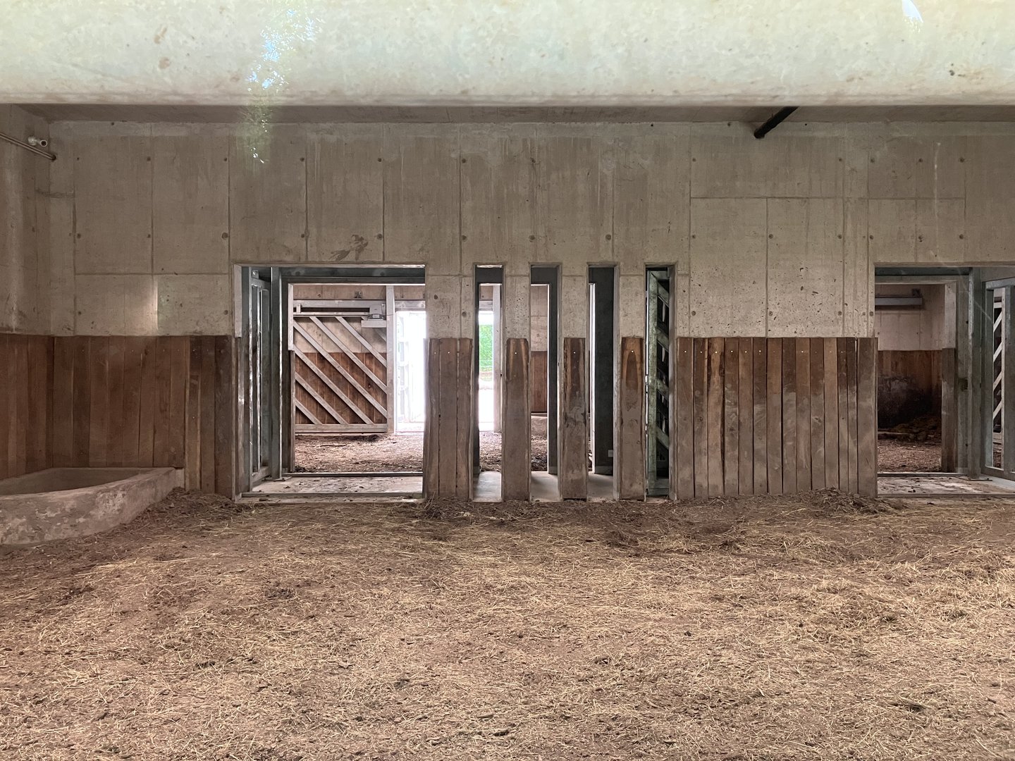 Indian rhino indoors-part 2