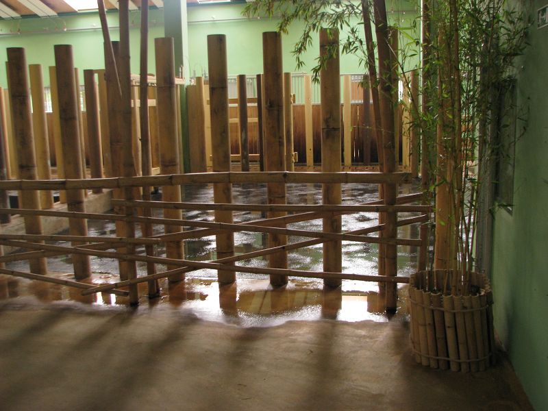 Indian rhino inside box