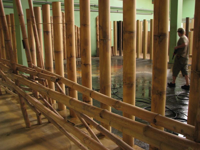 Indian rhino inside box