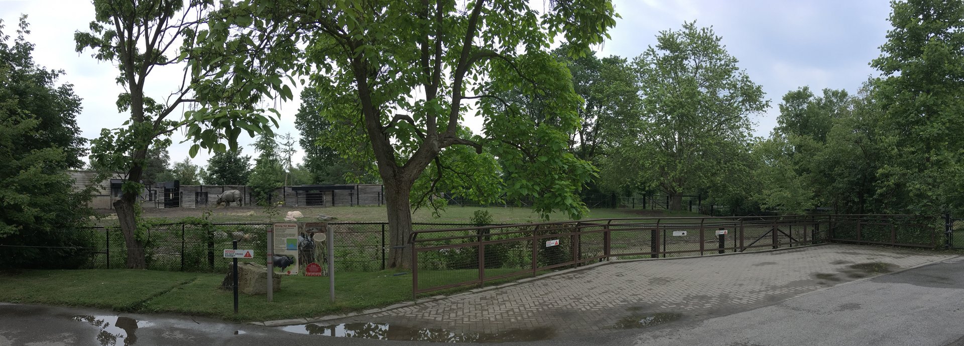 Indian Rhino Outdoor Exhibit View 2