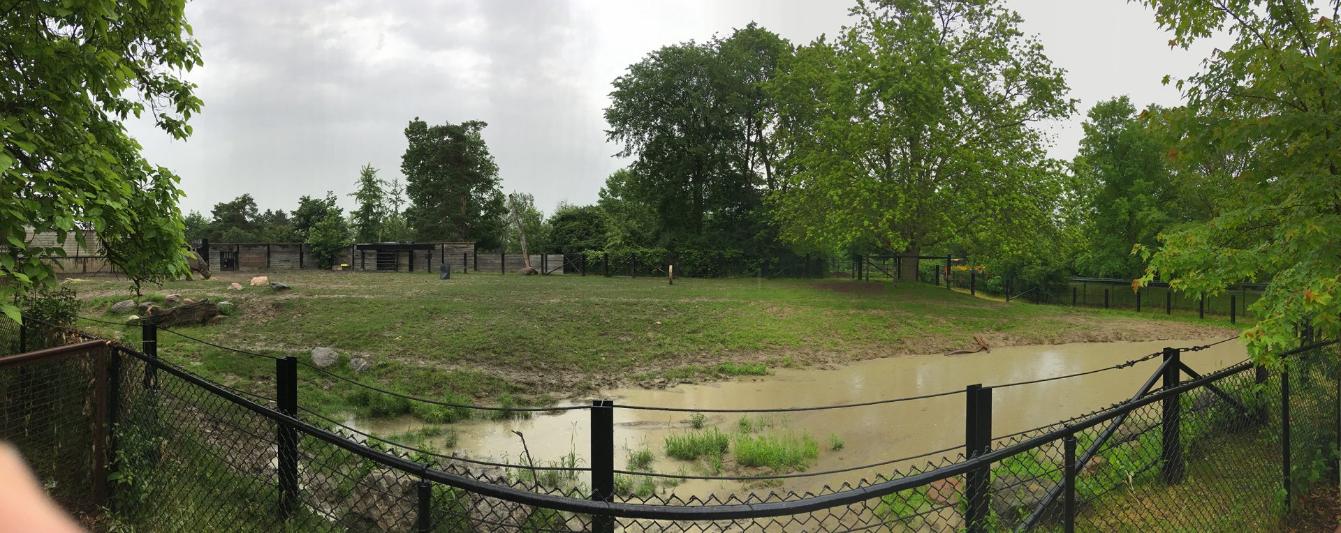 Indian Rhino Outdoor Exhibit View 3
