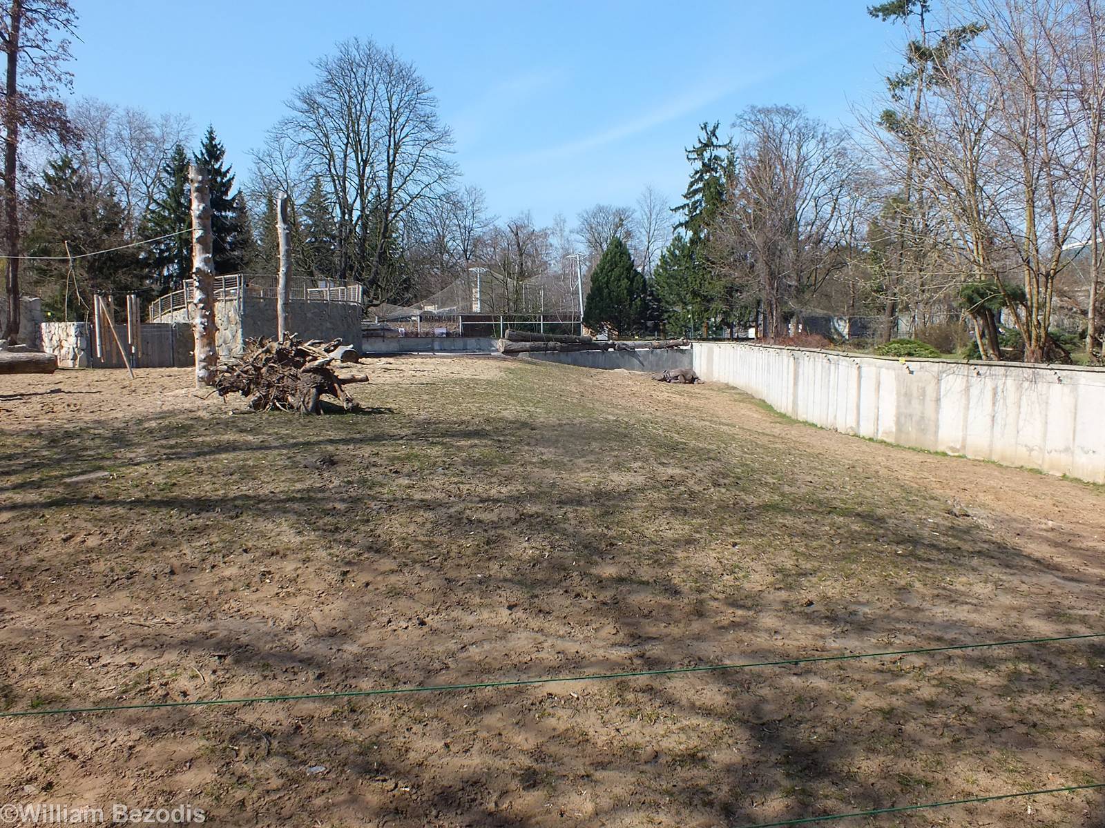 Indian Rhino Outdoor Paddock