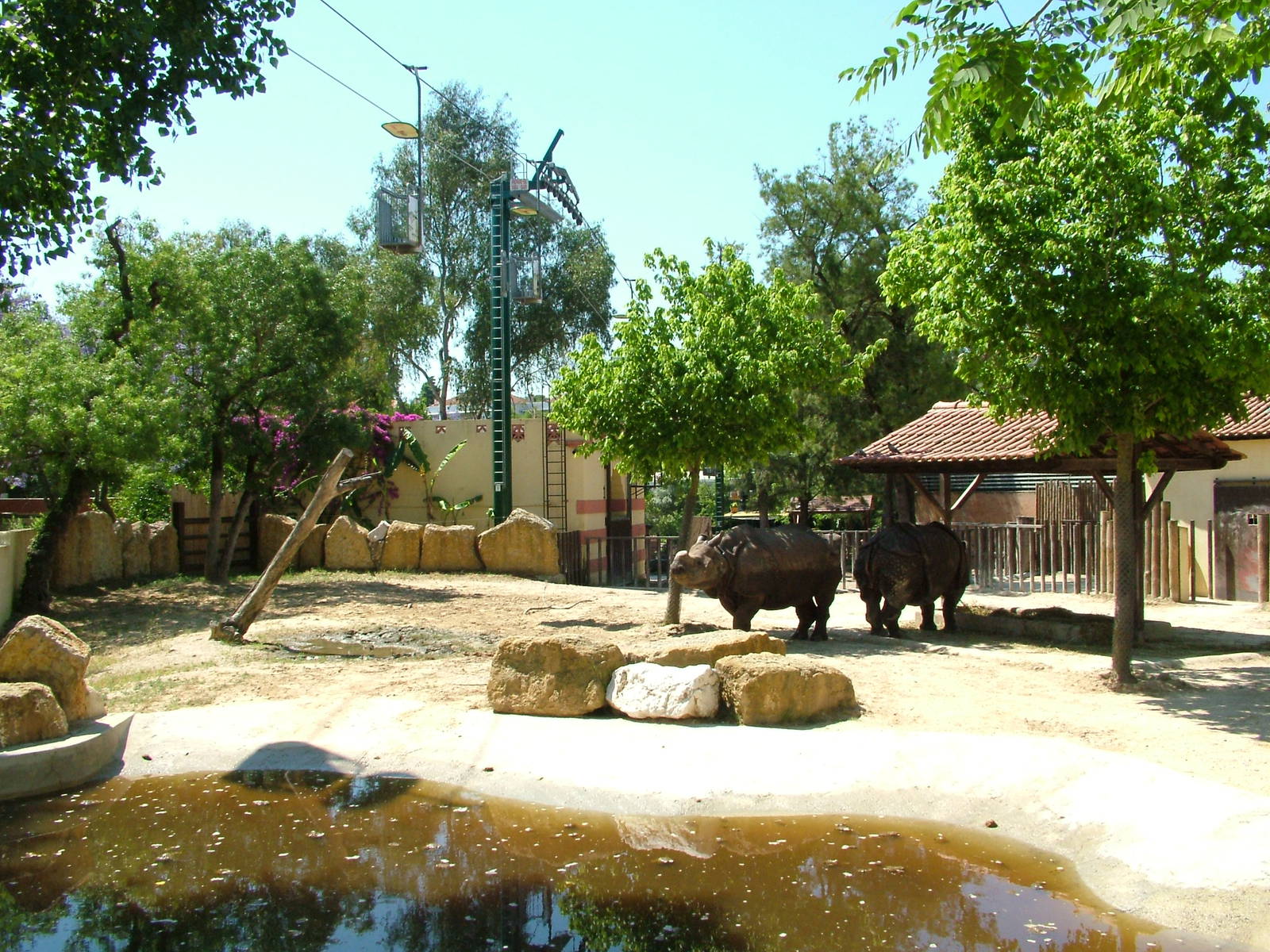 Indian Rhino Paddock at Lisbon Zoo, 24/05/11
